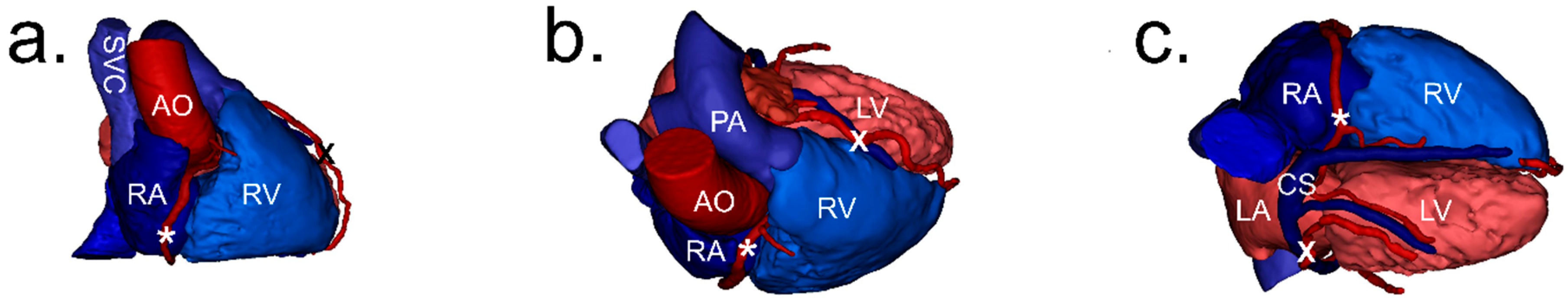 Jcdd 11 00159 g001 Jcdd 11 00159 g001