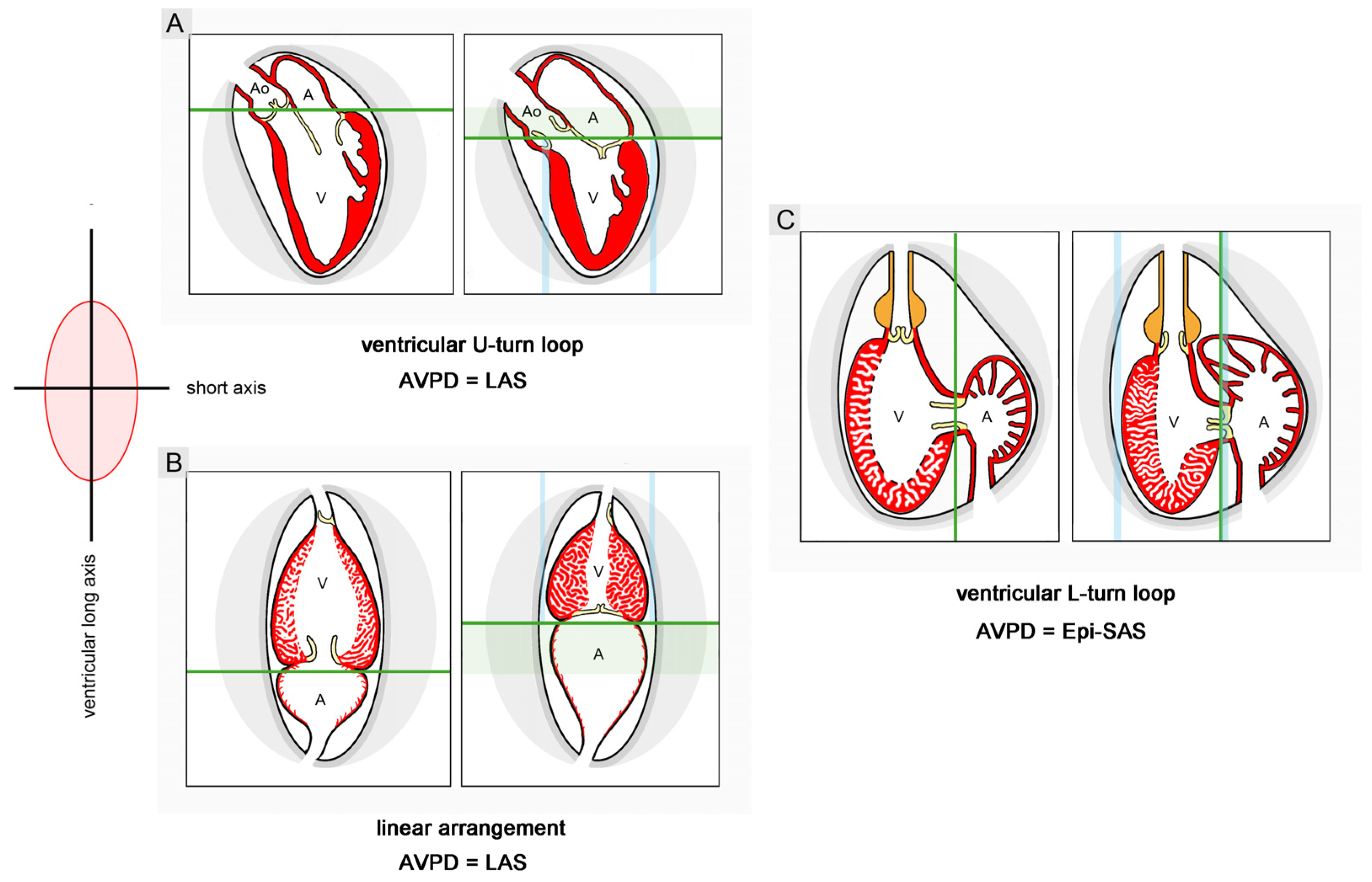 Jcdd 11 00252 g014 Jcdd 11 00252 g014