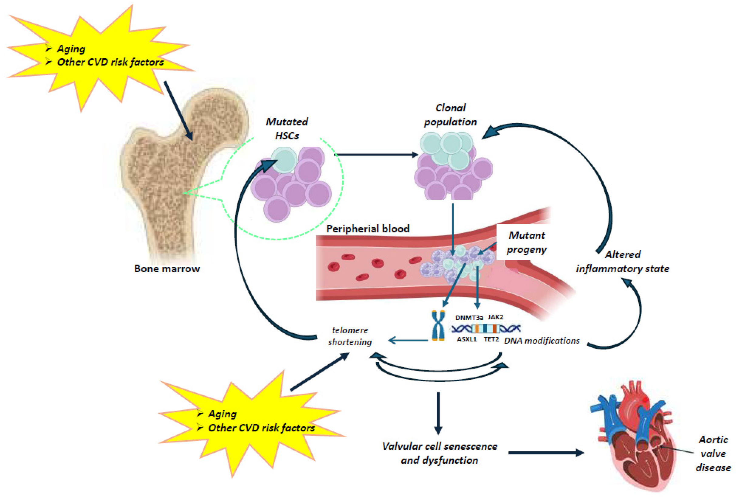 Jcdd 12 00135 g002 Jcdd 12 00135 g002