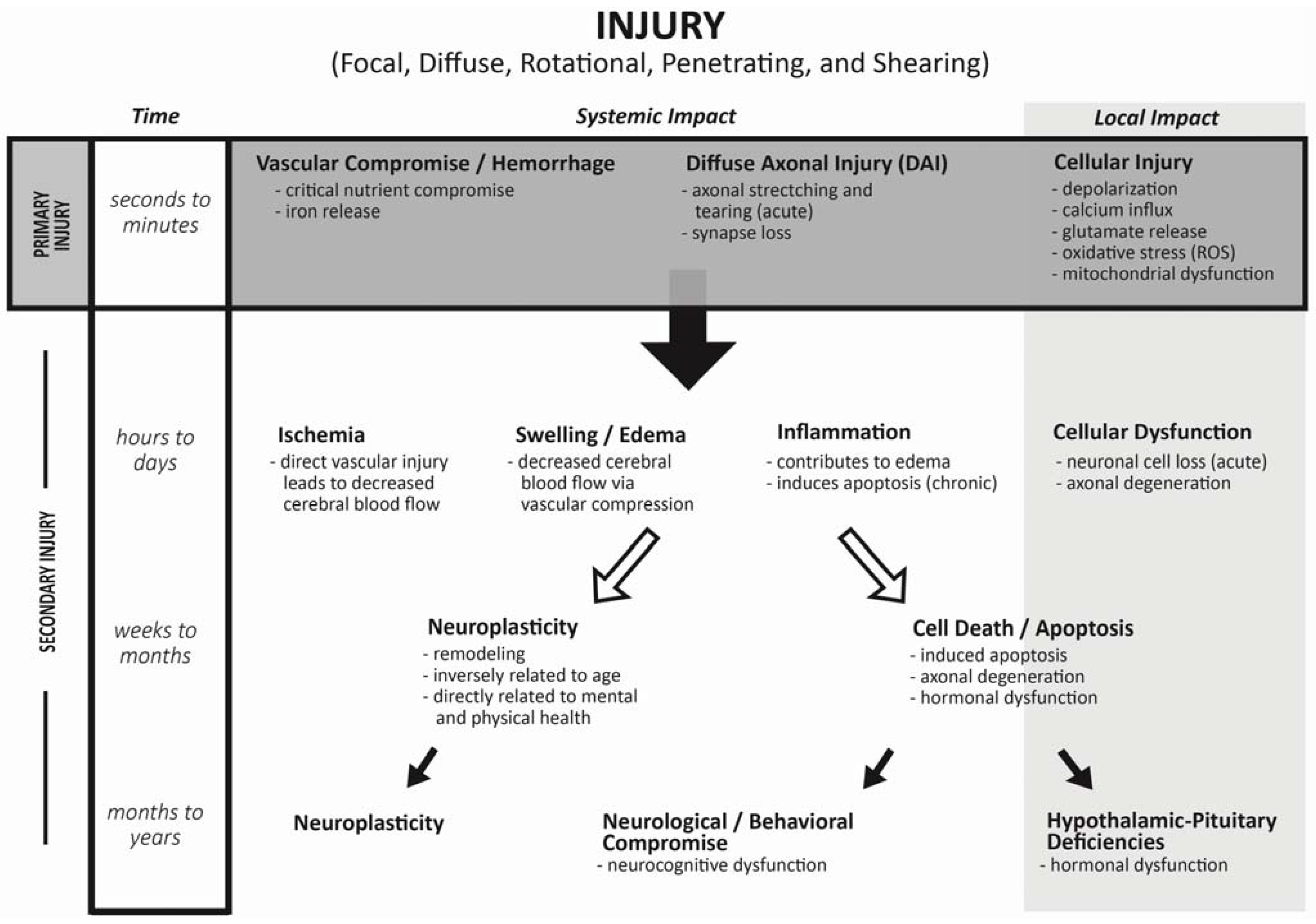 Assessment of neuroendocrine dysfunction following traumatic brain injury.