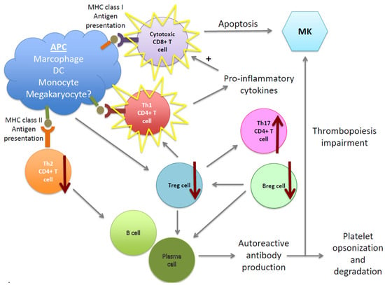 JCM | Free Full-Text | Pathogenesis and Therapeutic Mechanisms in 