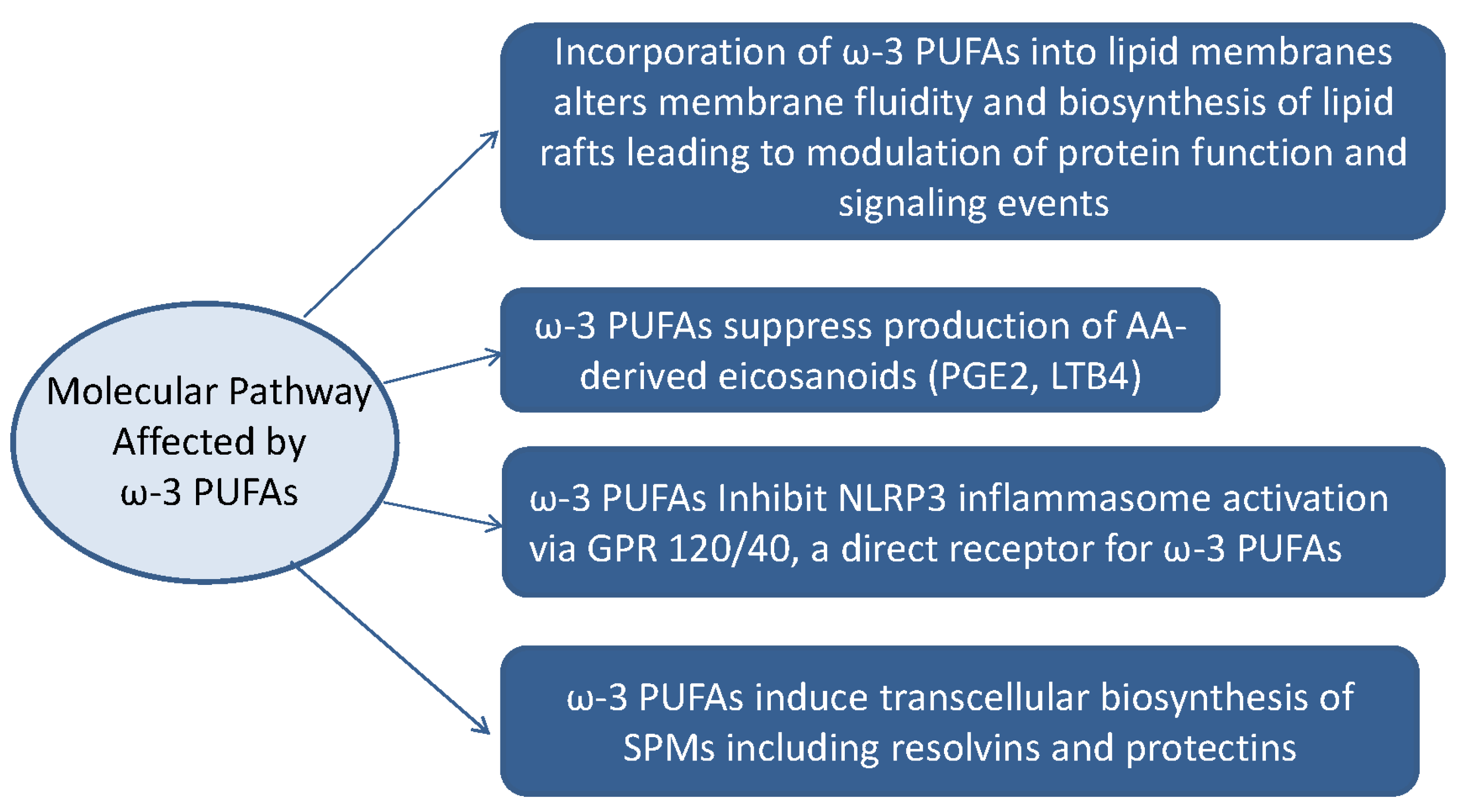 JCM | Free Full-Text | Omega-3 Polyunsaturated Fatty Acids for the  Treatment of IgA Nephropathy