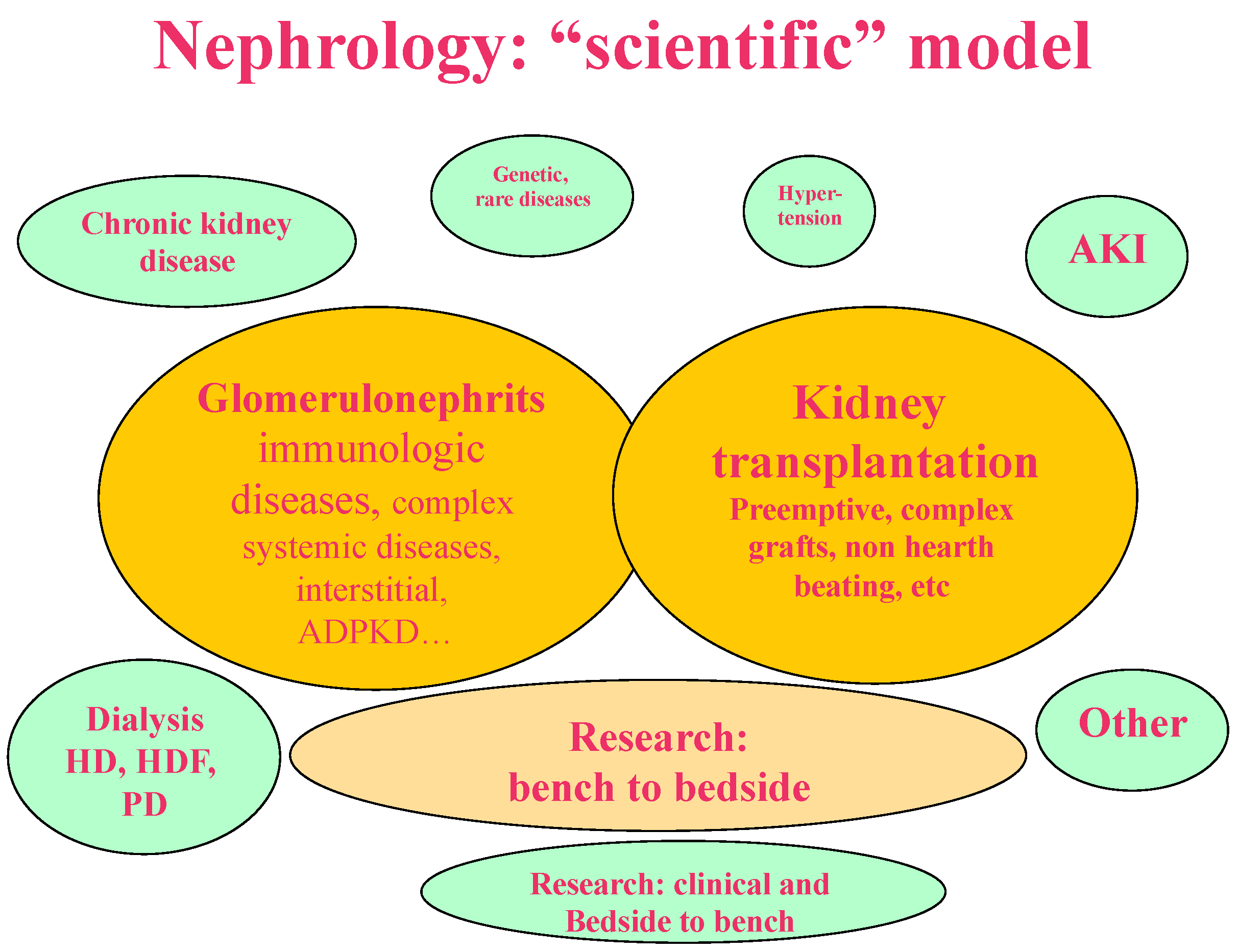 JCM | Free Full-Text | Where Are You Going, Nephrology? Considerations on  Models of Care in an Evolving Discipline | HTML