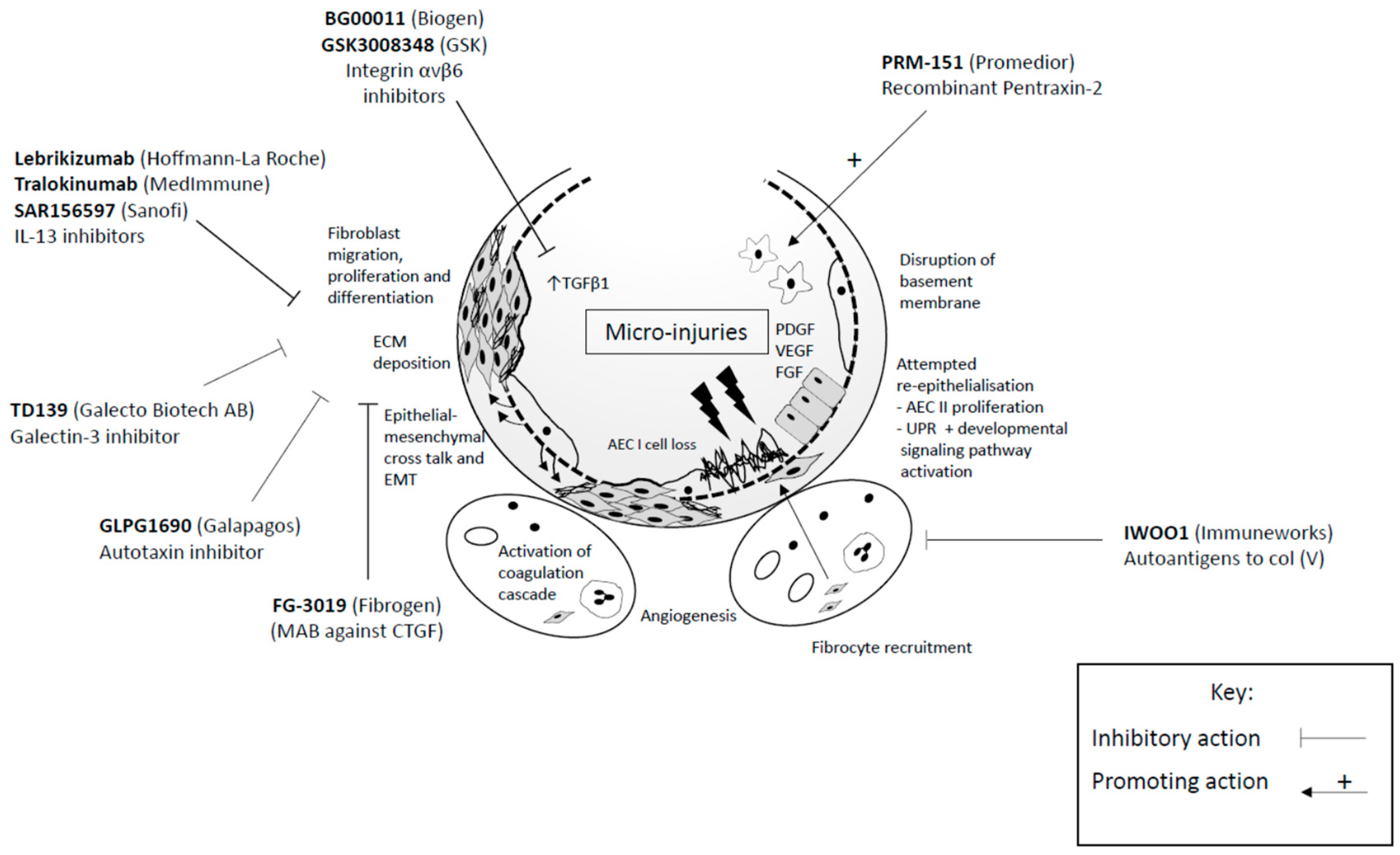 Copd Treatment Nhs - Hirup a