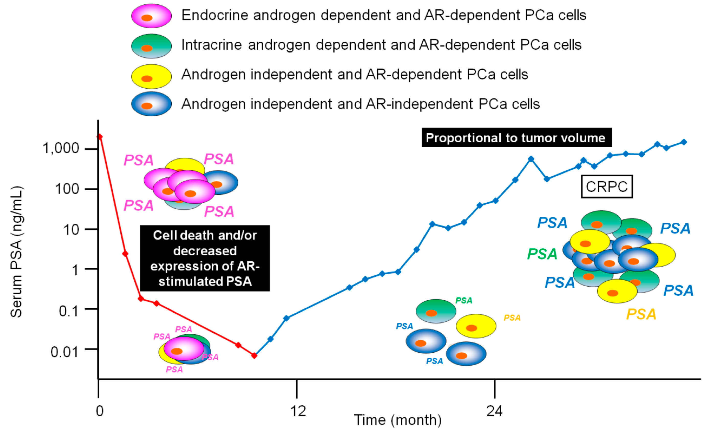 JCM | Free Full-Text | The Importance of Time to Prostate-Specific Antigen ( PSA) Nadir after Primary Androgen Deprivation Therapy in Hormone-Naïve  Prostate Cancer Patients