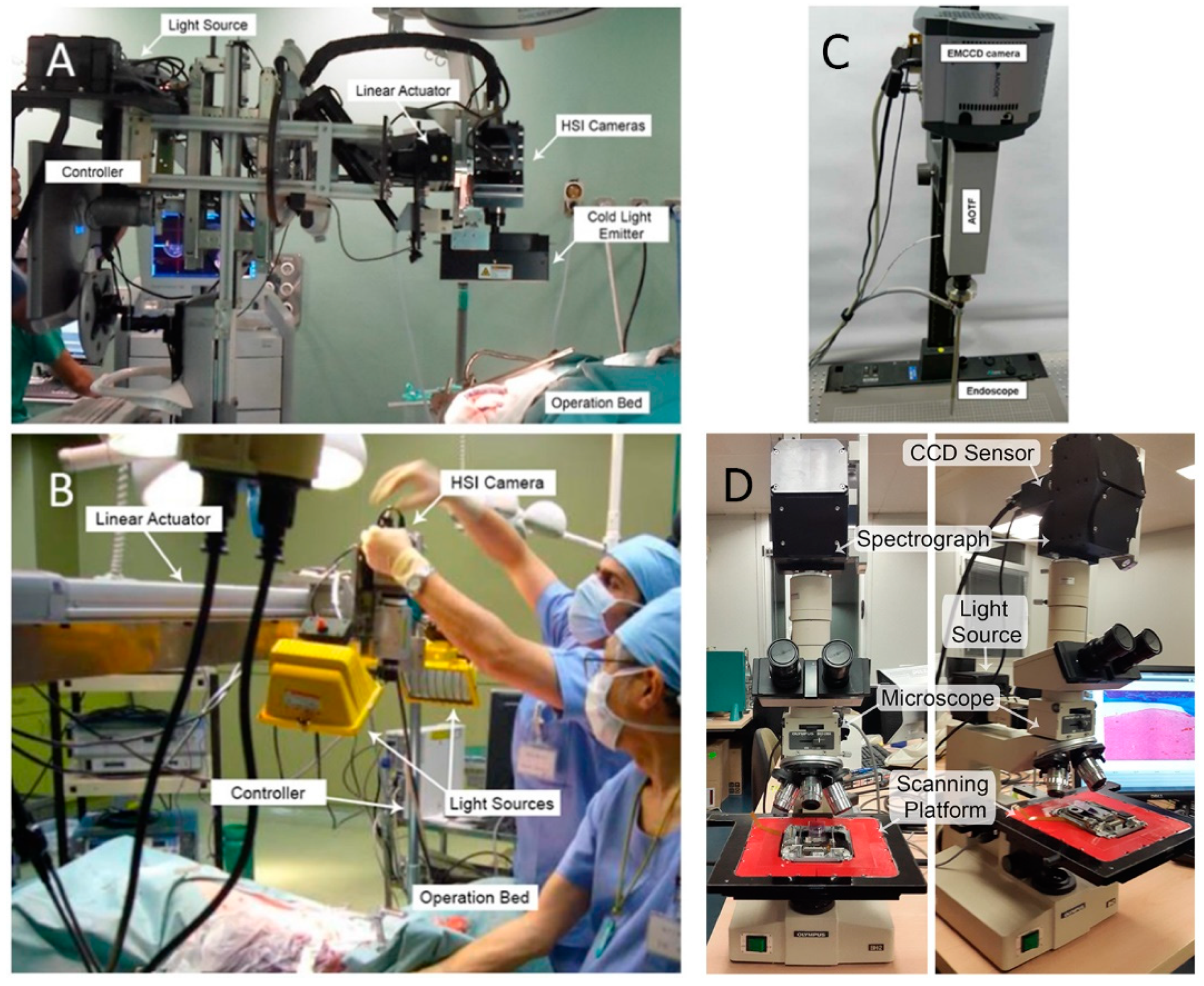 Jcm 08 00036 g003 Jcm 08 00036 g003