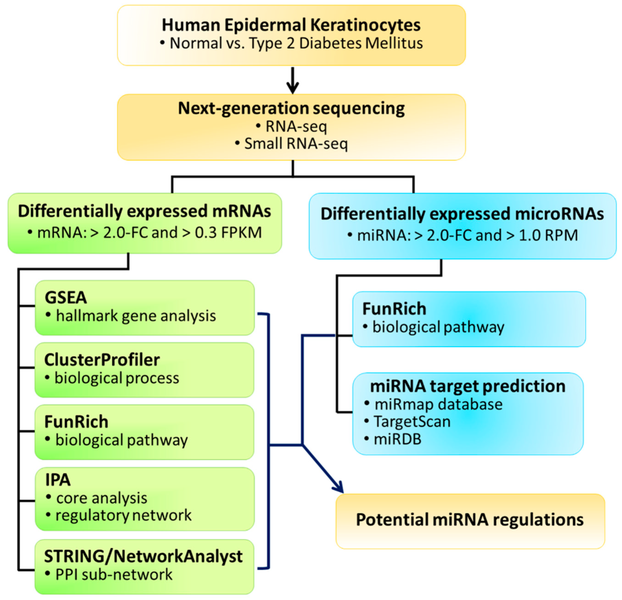 JCM | Free Full-Text | Deduction of Novel Genes Potentially Involved in  Keratinocytes of Type 2 Diabetes Using Next-Generation Sequencing and  Bioinformatics Approaches