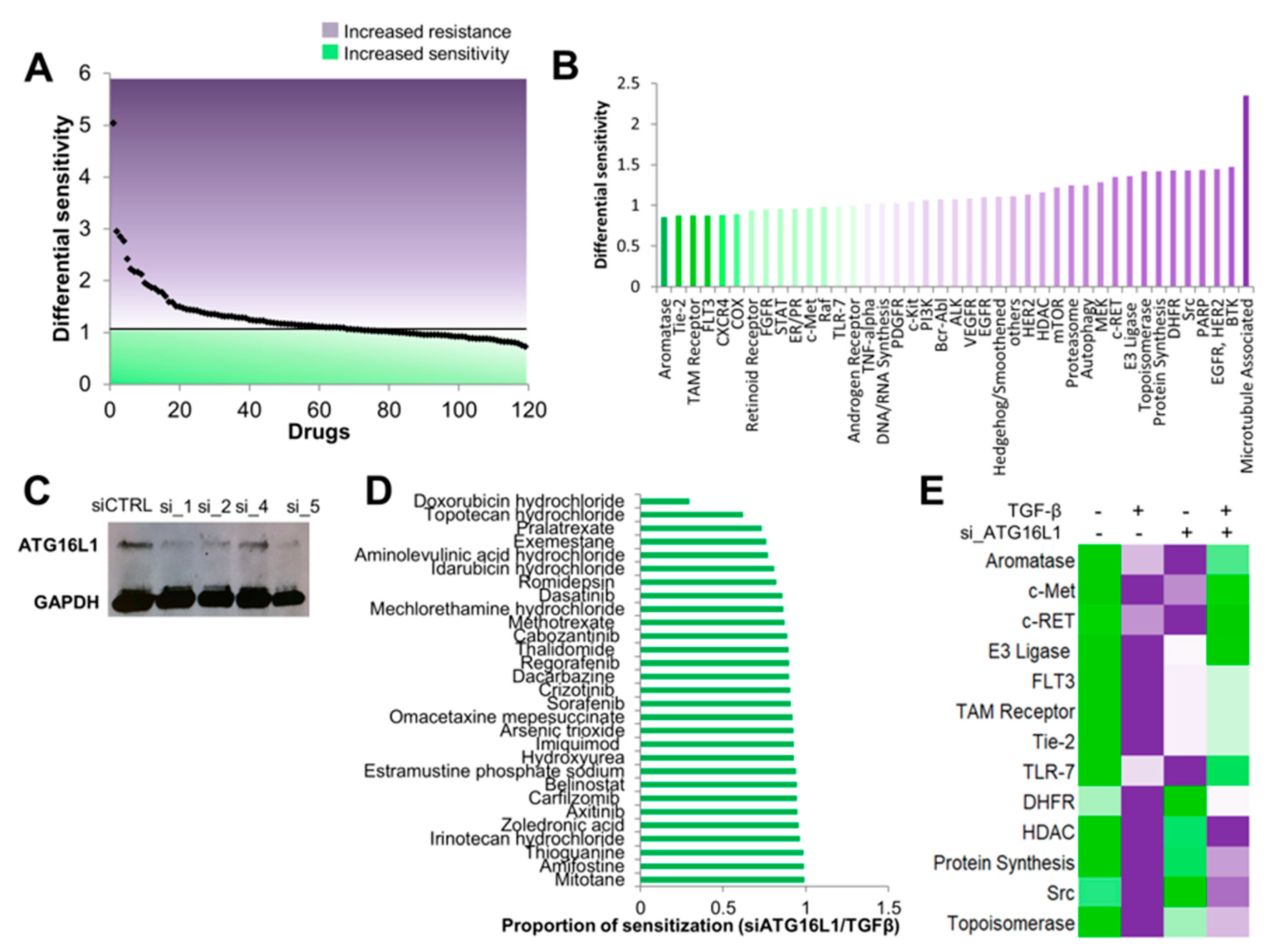 Jcm 08 00205 g006 Jcm 08 00205 g006