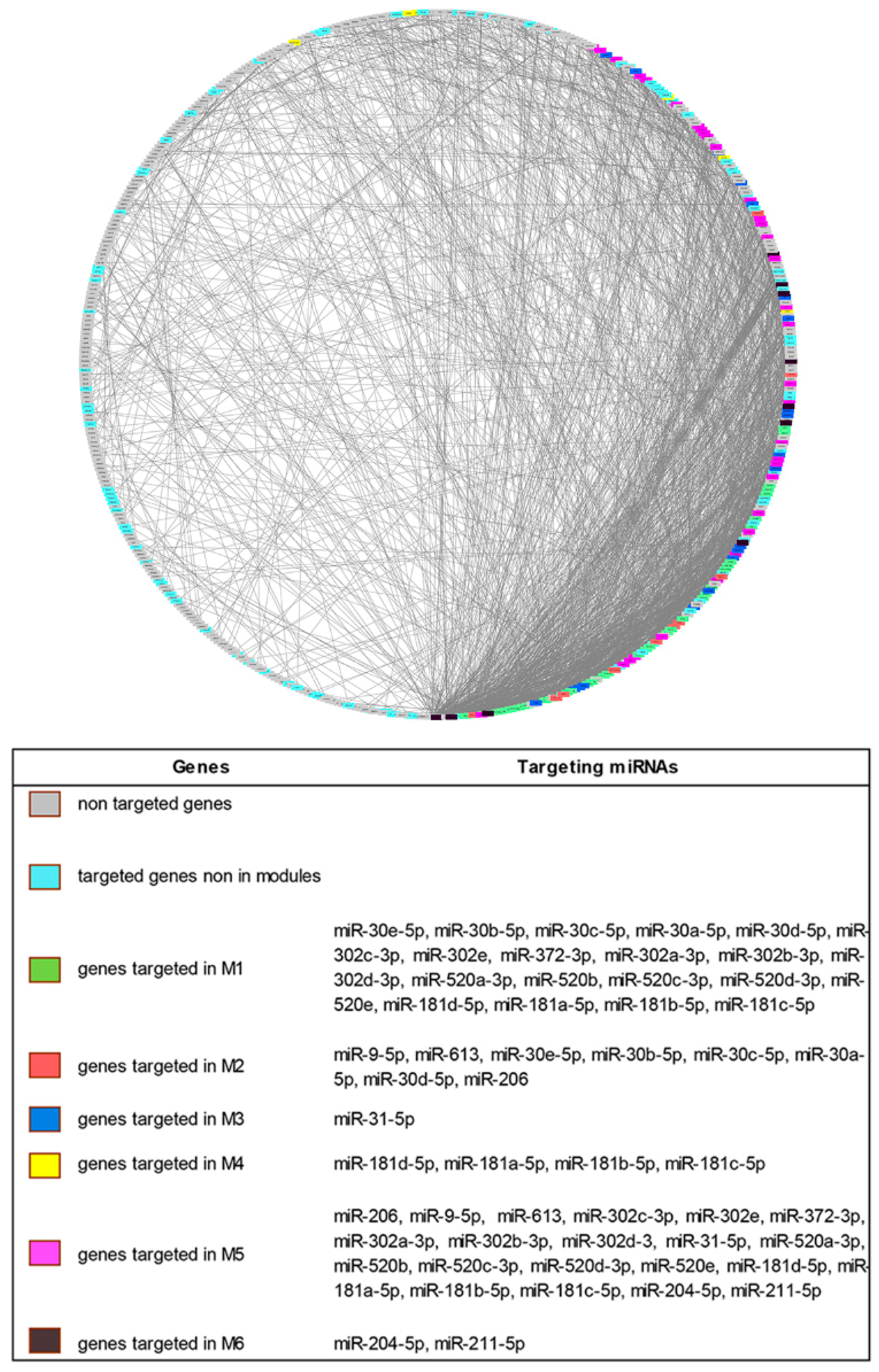 Jcm Free Full Text In Systemic Sclerosis A Unique Long Non Coding Rna Regulates Genes And Pathways Involved In The Three Main Features Of The Disease Vasculopathy Fibrosis And Autoimmunity And