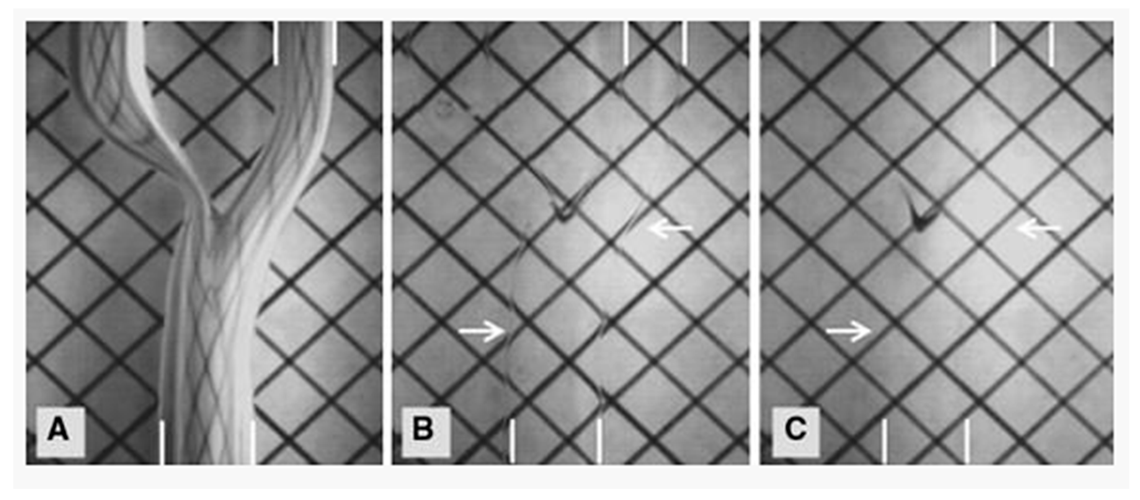 Jcm 08 00635 g005 Jcm 08 00635 g005