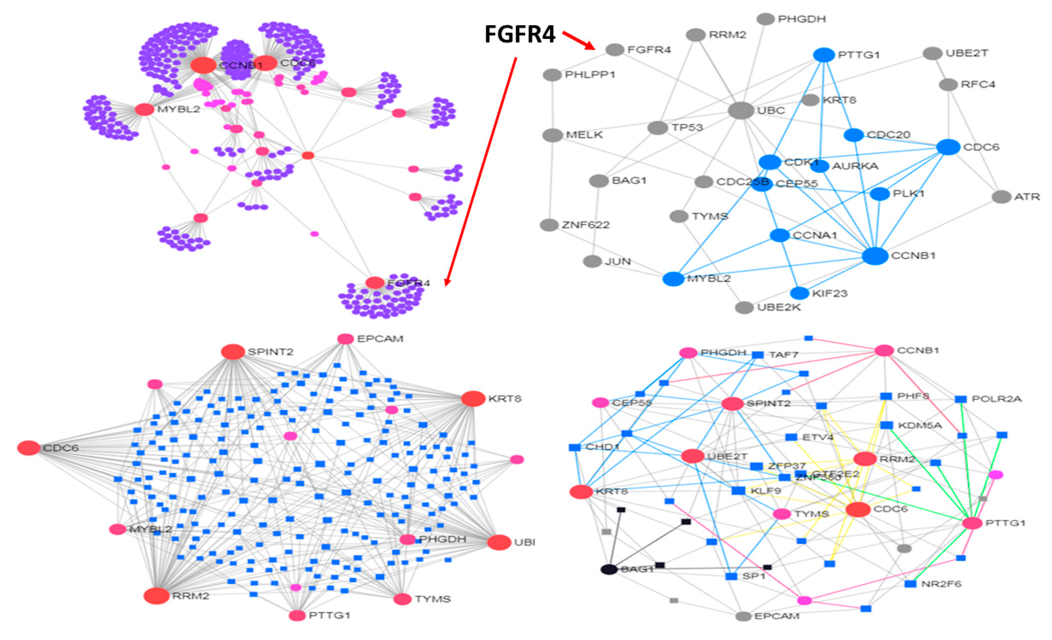 Directed network. Network Connectivity by Region Plot.