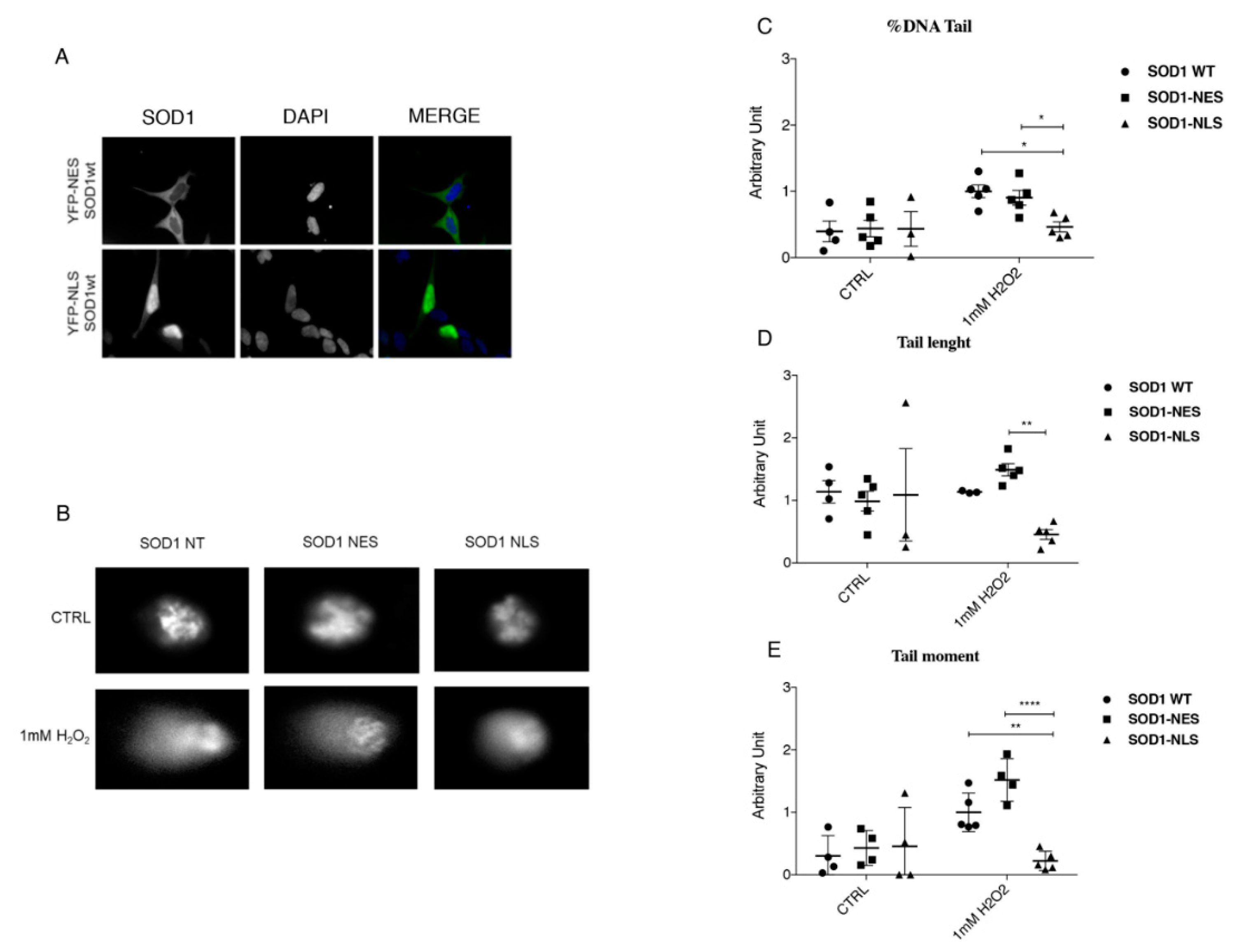 Jcm 08 00729 g005 Jcm 08 00729 g005