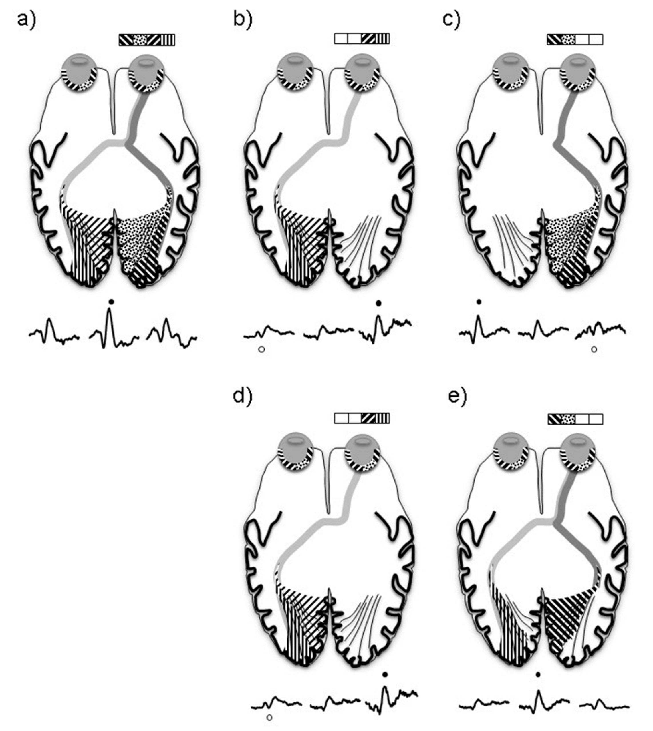 Jcm 08 00802 g005 Jcm 08 00802 g005
