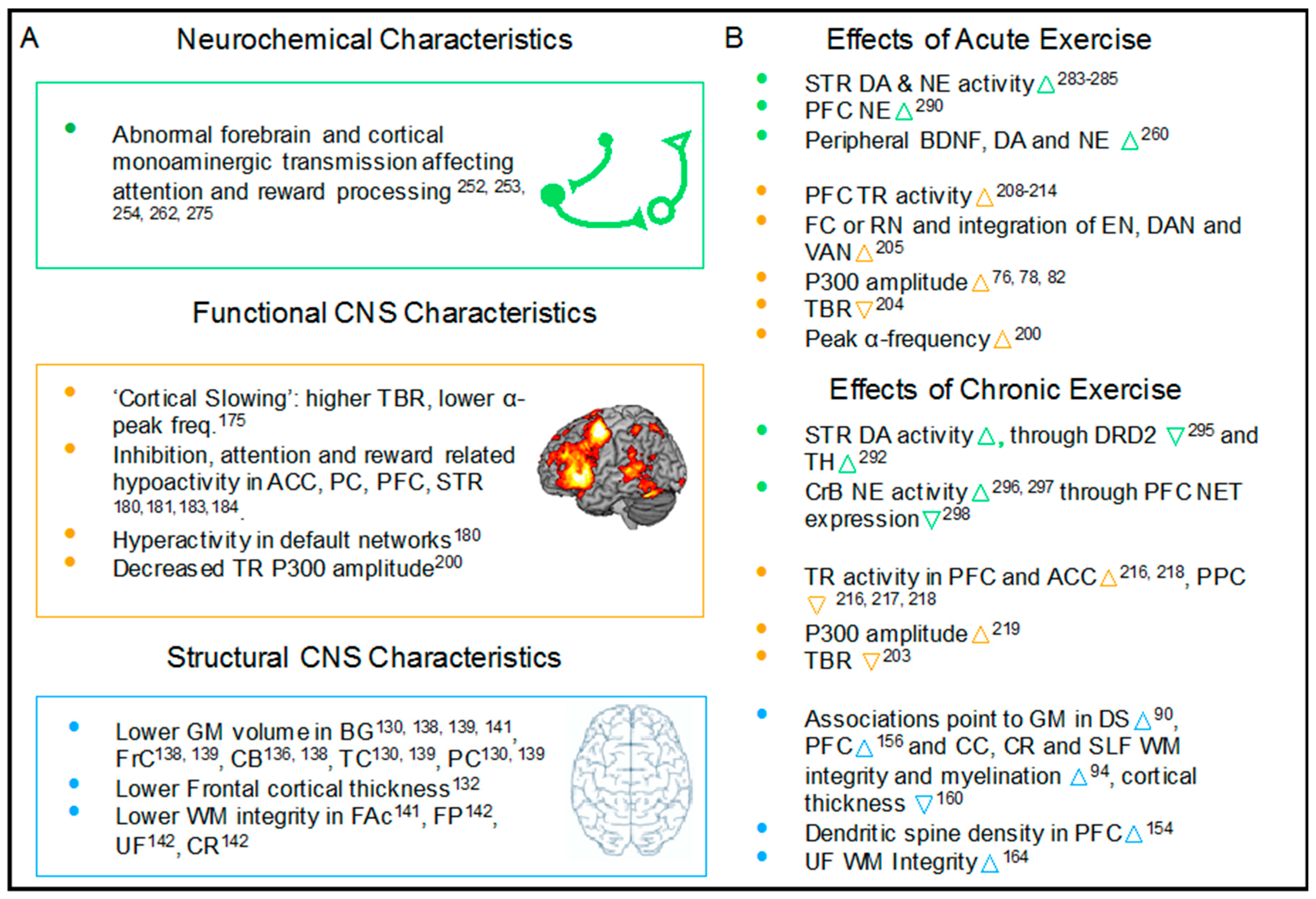 Jcm Free Full Text Effects Of Exercise On Cognitive Performance In Children And Adolescents With Adhd Potential Mechanisms And Evidence Based Recommendations Html