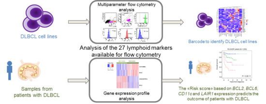 Jcm Free Full Text Phenotypic Characterization Of Diffuse Large B Cell Lymphoma Cells And Prognostic Impact