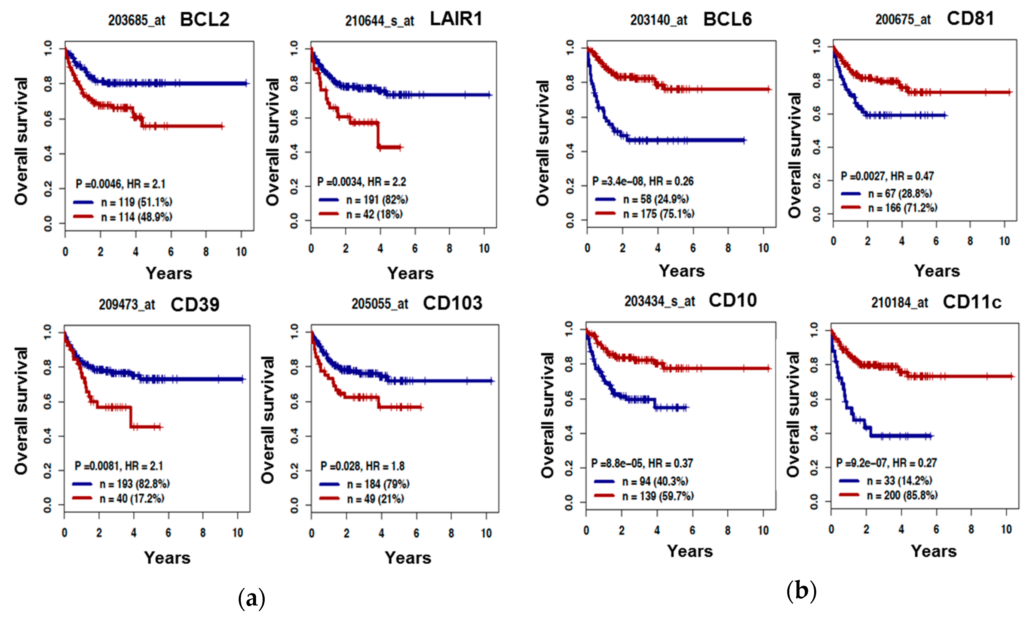 JCM | Free Full-Text | Phenotypic Characterization of Diffuse Large B-Cell  Lymphoma Cells and Prognostic Impact