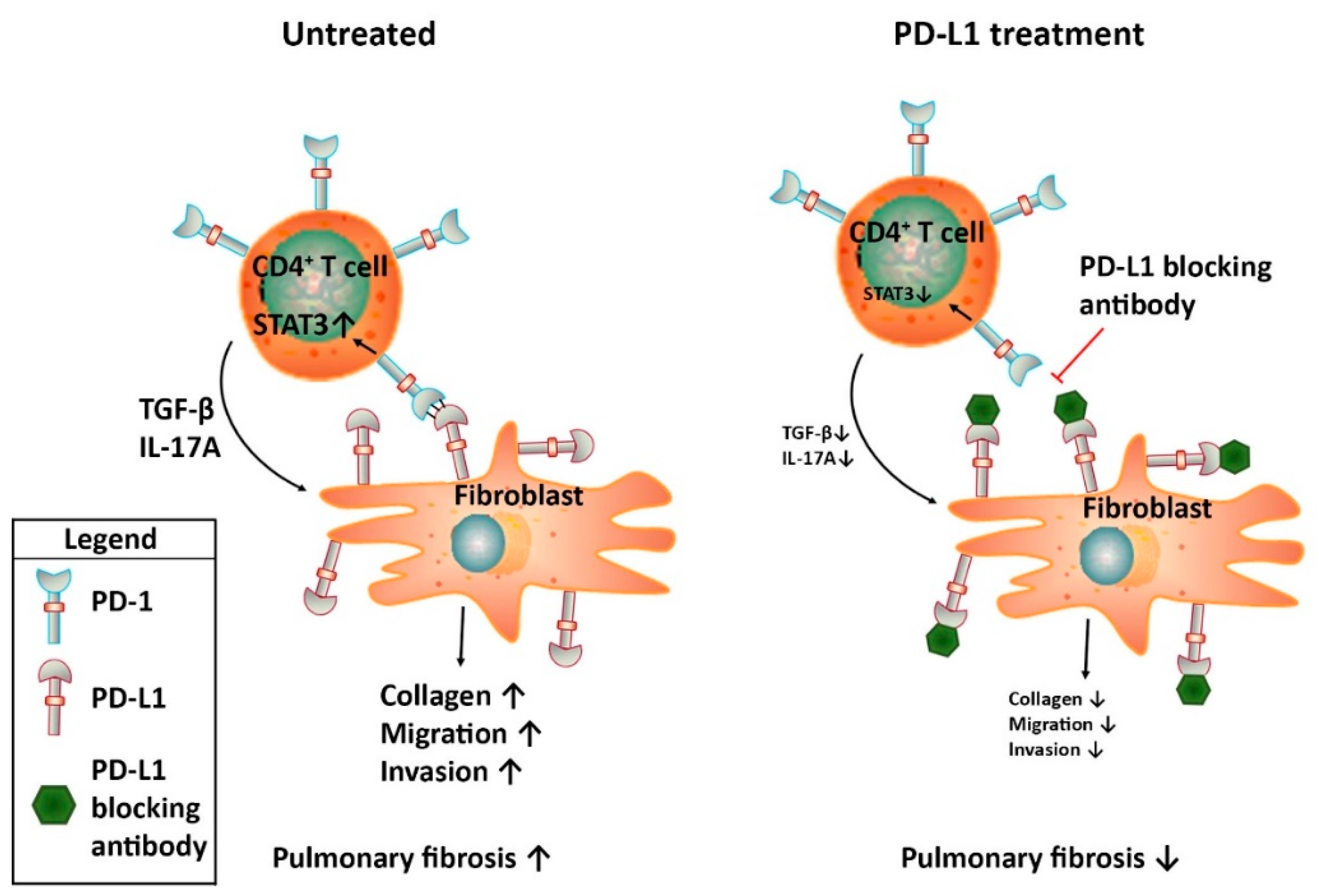 Jcm 08 01547 g001 Jcm 08 01547 g001