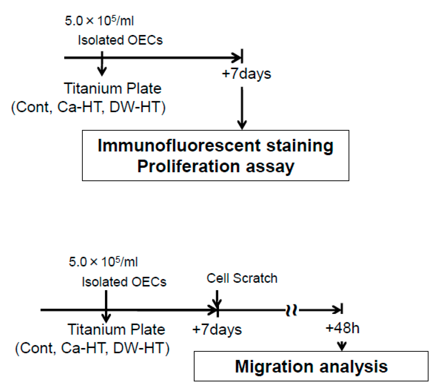 Jcm Free Full Text Long Term Retention Of Gingival Sealing