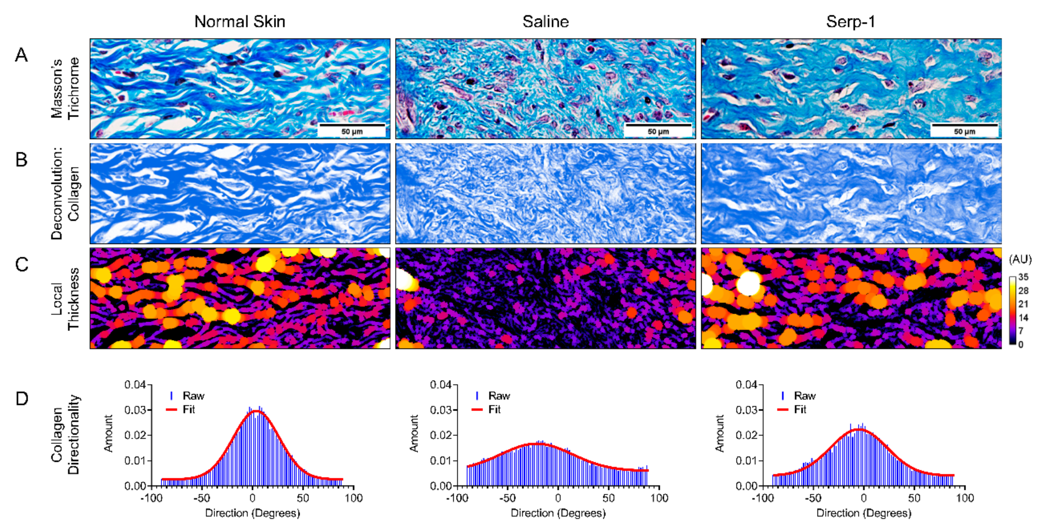 Jcm 08 01626 g006 Jcm 08 01626 g006