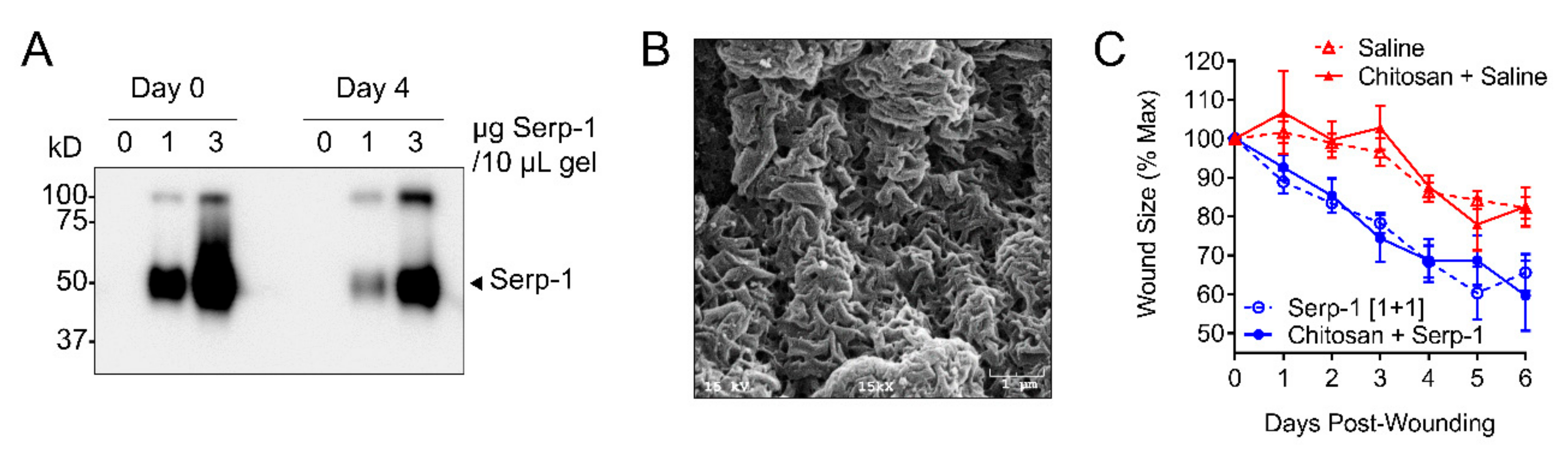 Jcm 08 01626 g008 Jcm 08 01626 g008