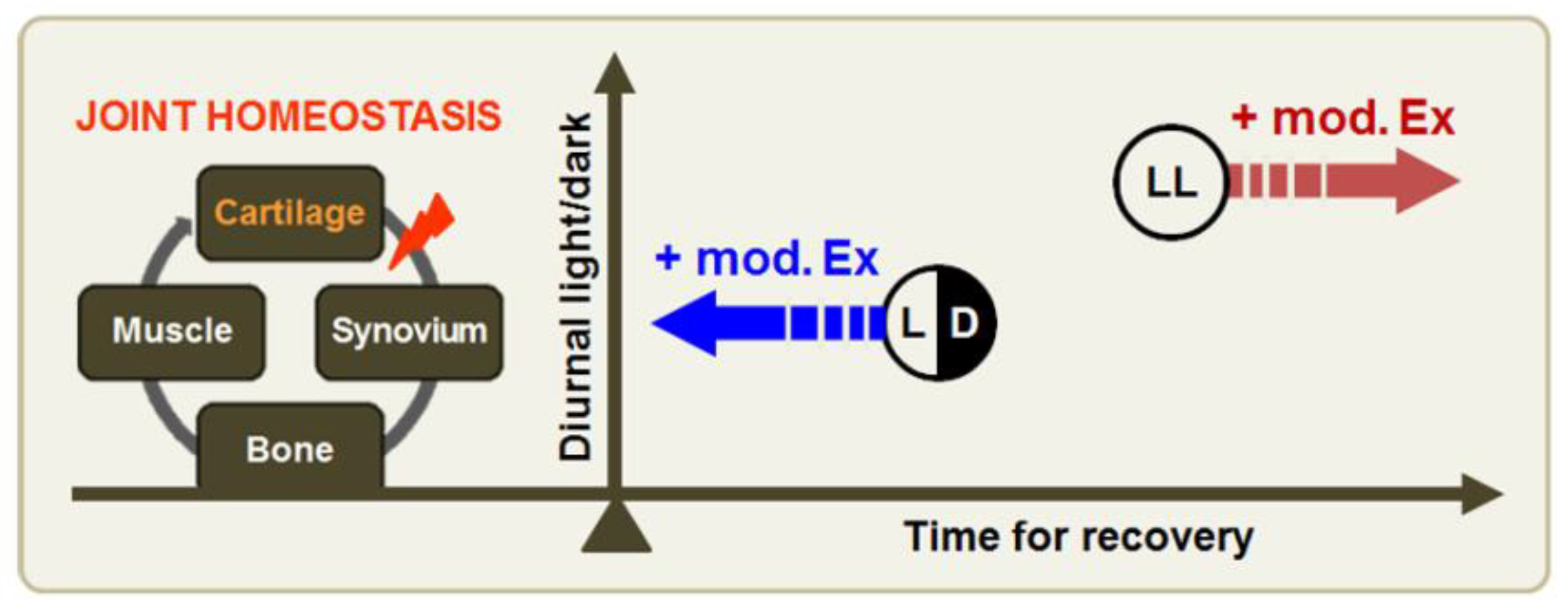 https://www.mdpi.com/jcm/jcm-08-01855/article_deploy/html/images/jcm-08-01855-g005.png