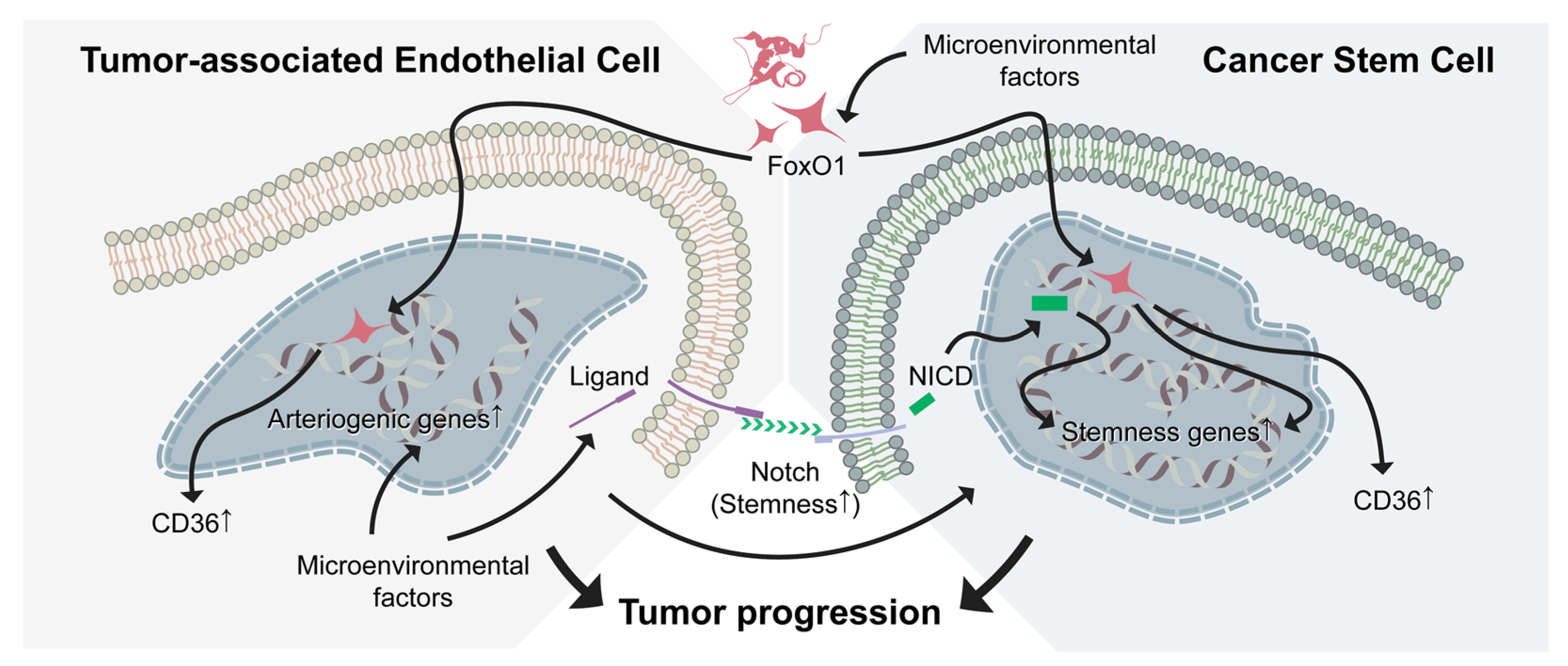 Jcm 08 01980 g002 Jcm 08 01980 g002