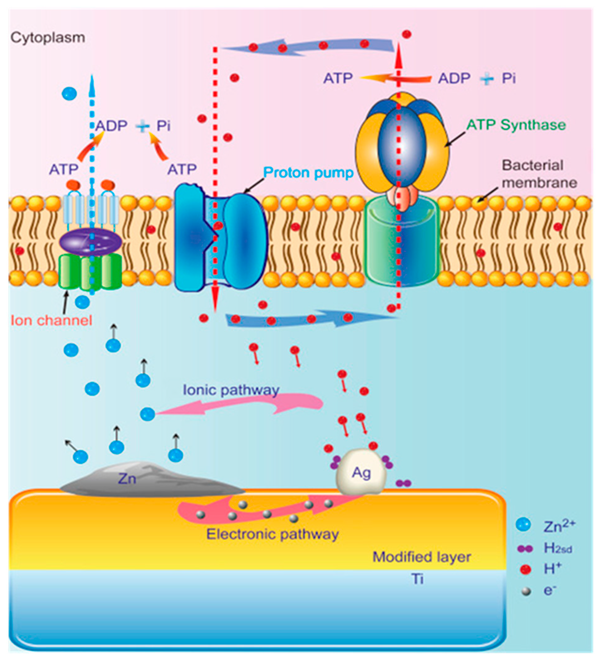 Jcm 08 01982 g008 Jcm 08 01982 g008