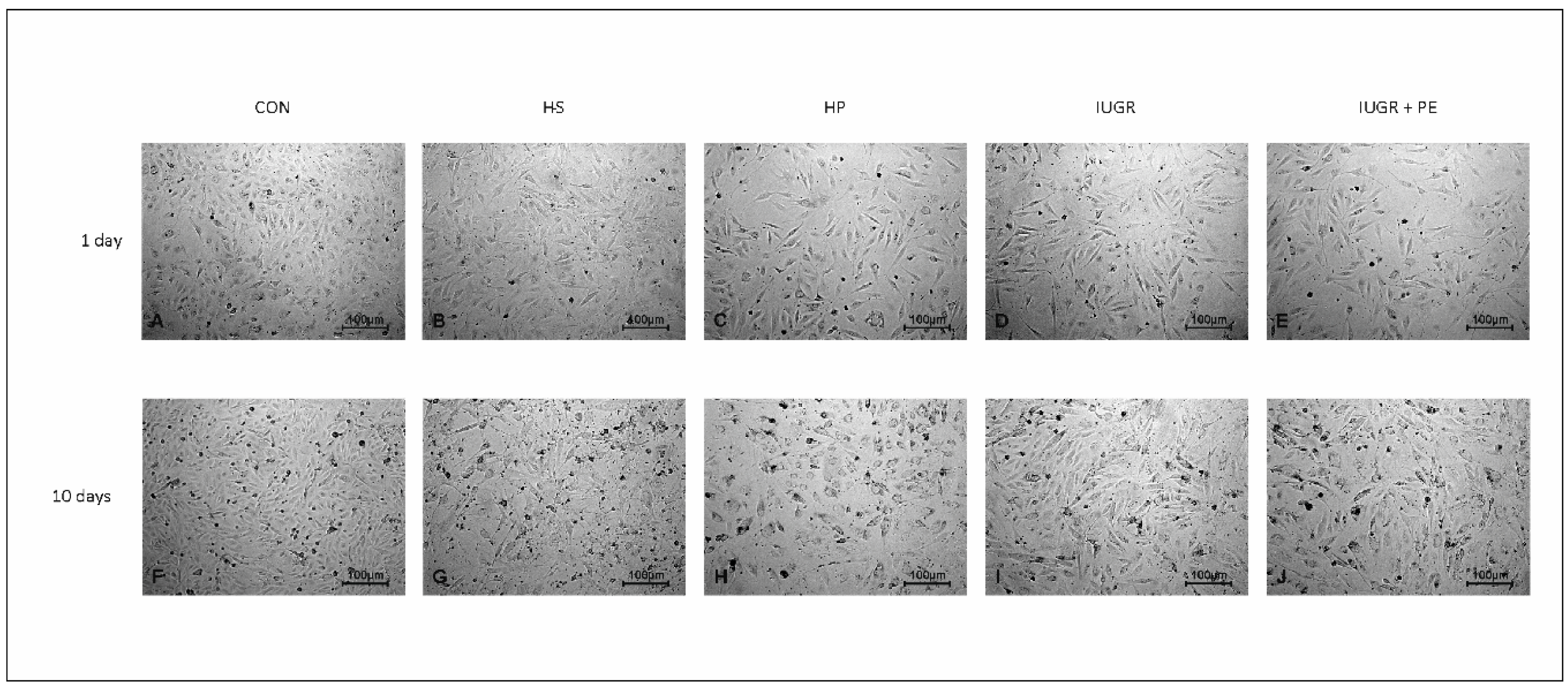 Jcm 08 01994 g004 Jcm 08 01994 g004