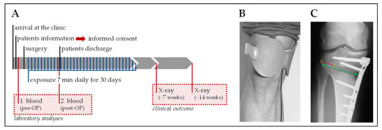 https://www.mdpi.com/jcm/jcm-08-02008/article_deploy/html/images/jcm-08-02008-g001-550.jpg