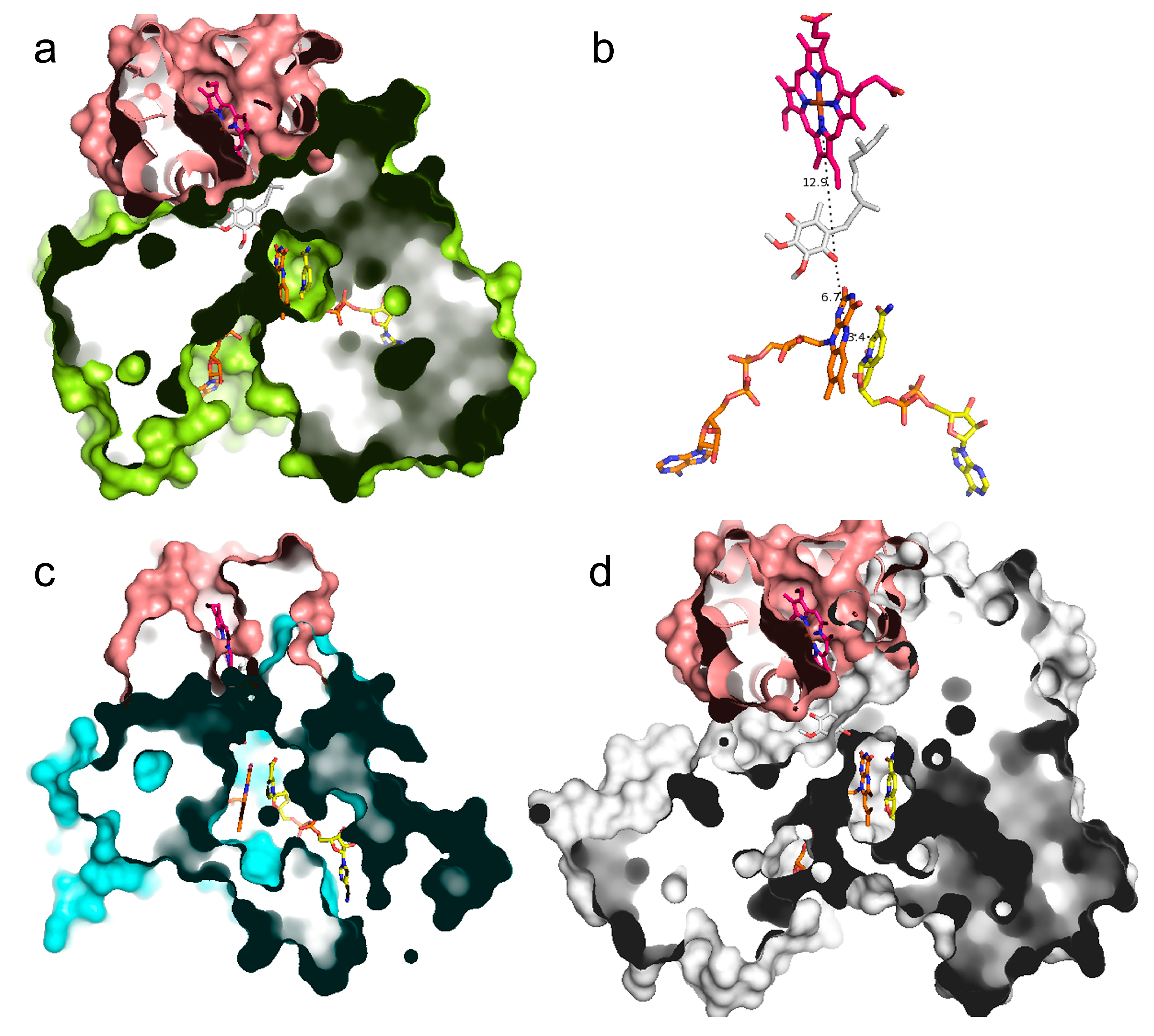 Jcm 08 02117 g006 Jcm 08 02117 g006