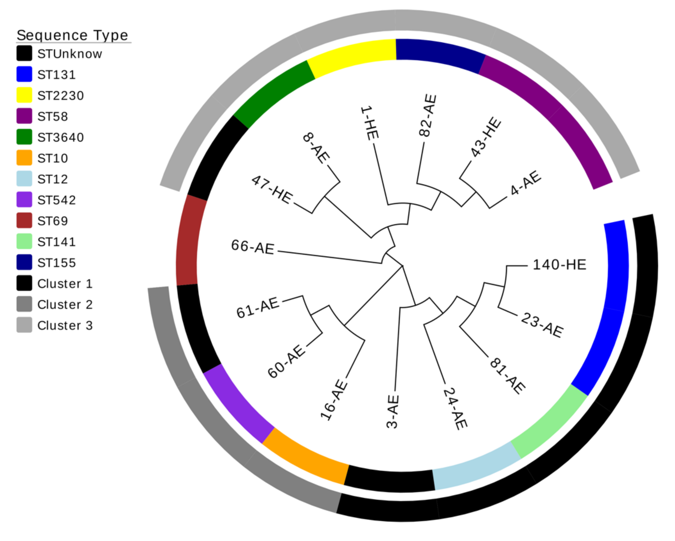 Jcm 08 02118 g001 Jcm 08 02118 g001
