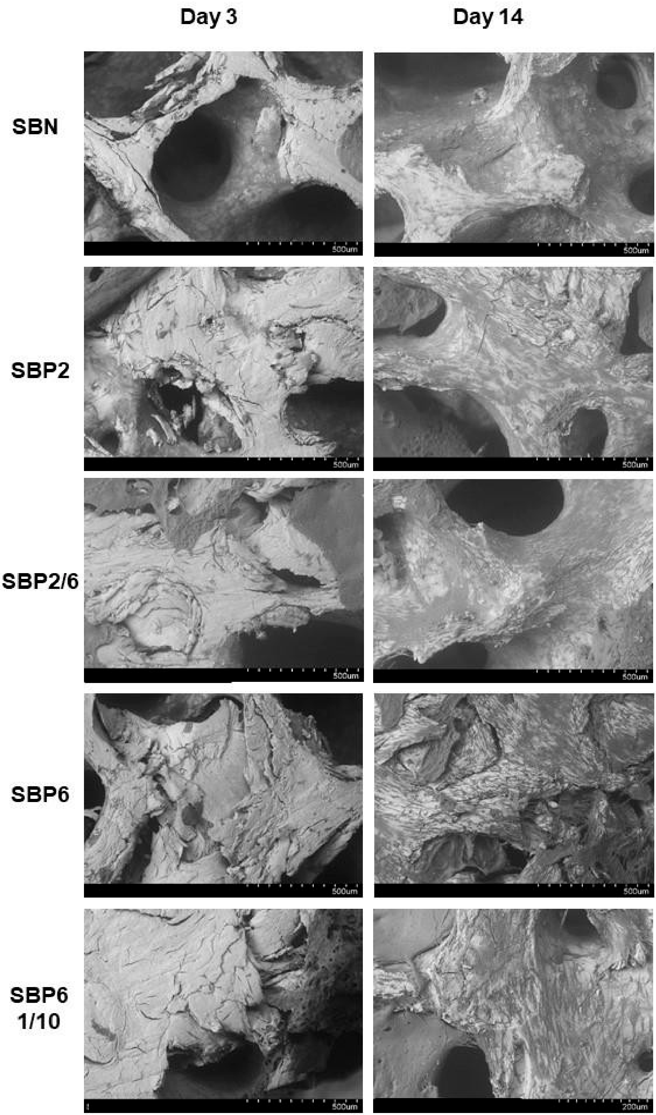 Jcm 08 02159 g005 Jcm 08 02159 g005