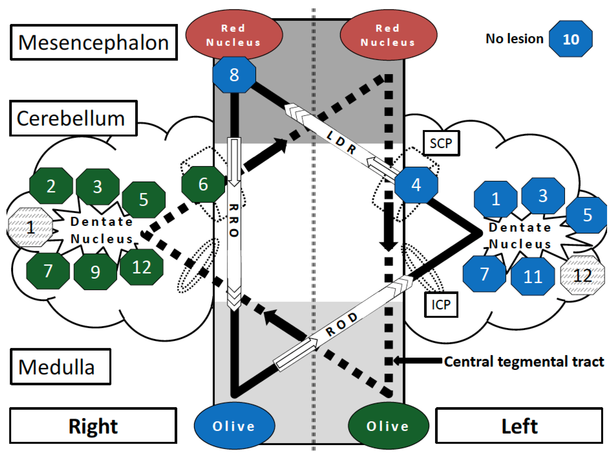 Jcm 08 02222 g002 Jcm 08 02222 g002