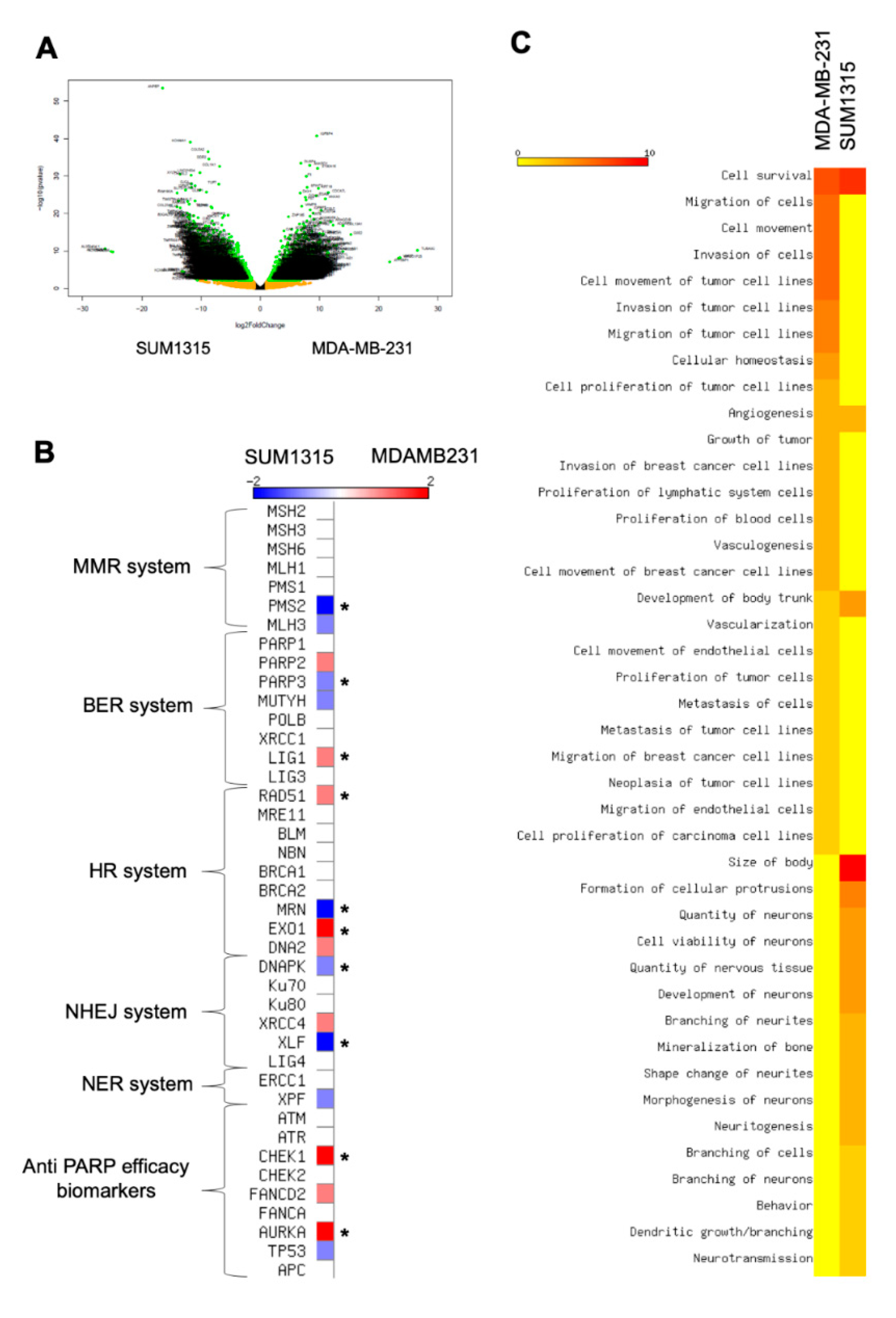 Jcm 09 00064 g007 Jcm 09 00064 g007