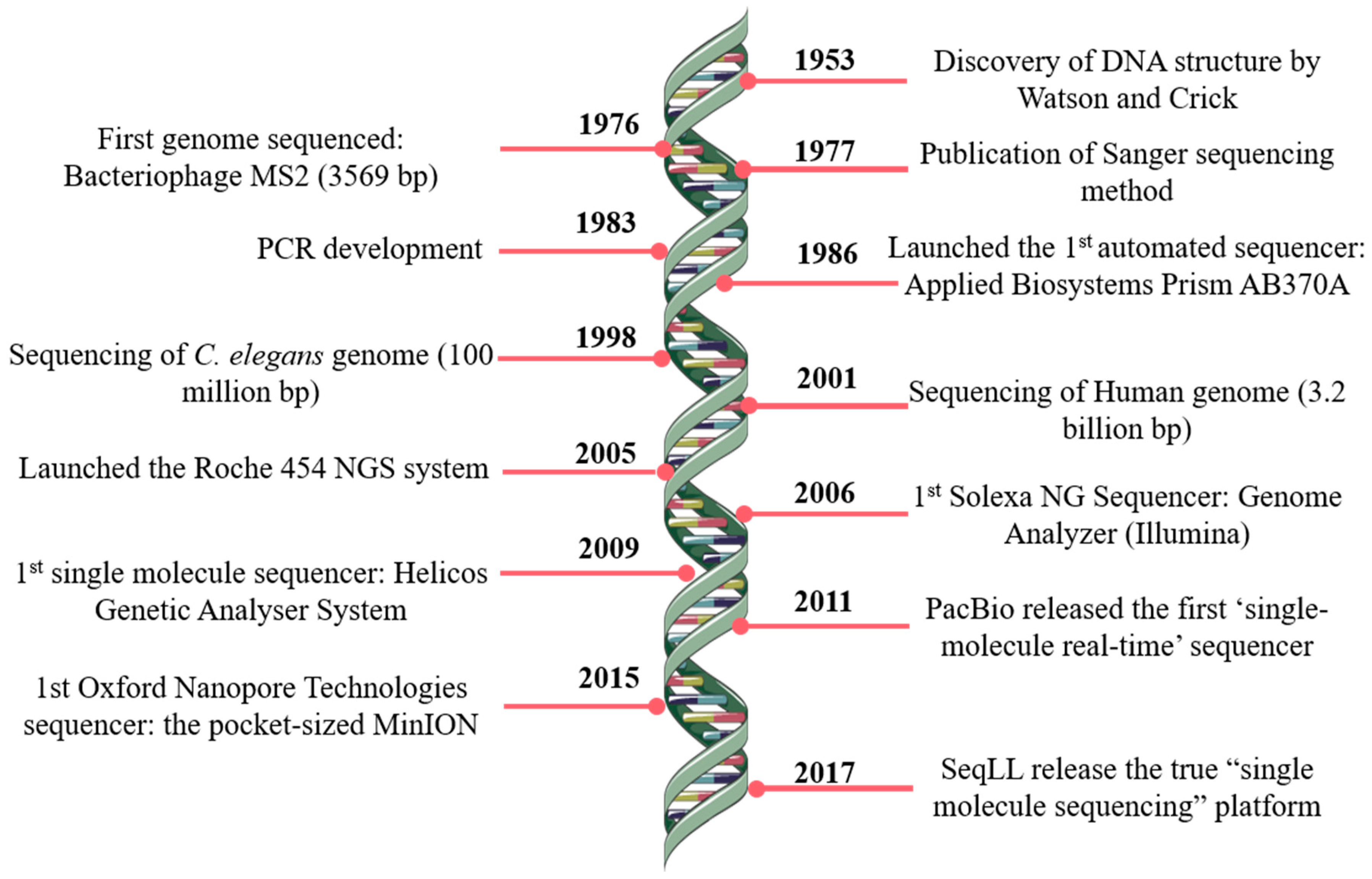 gene sequence analysis