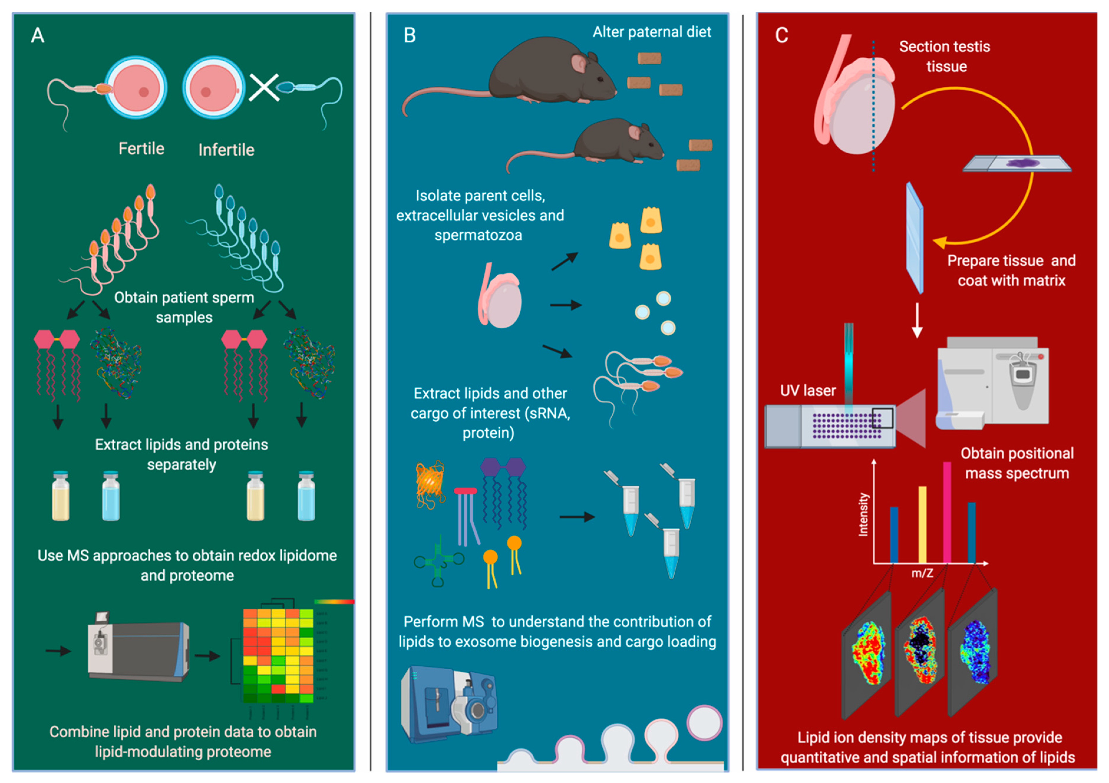 Jcm 09 00327 g003 Jcm 09 00327 g003