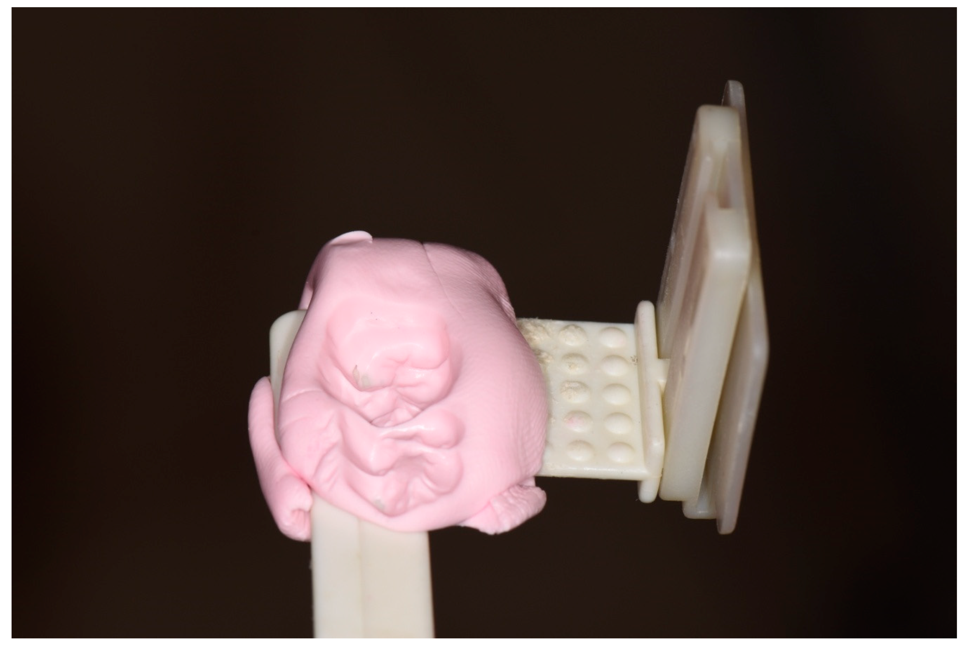 Jcm 09 00357 g002 Jcm 09 00357 g002