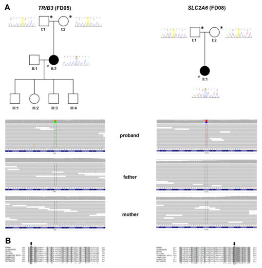 JCM | Free Full-Text | Analysis of De Novo Mutations in Sporadic  Cardiomyopathies Emphasizes Their Clinical Relevance and Points to Novel  Candidate Genes