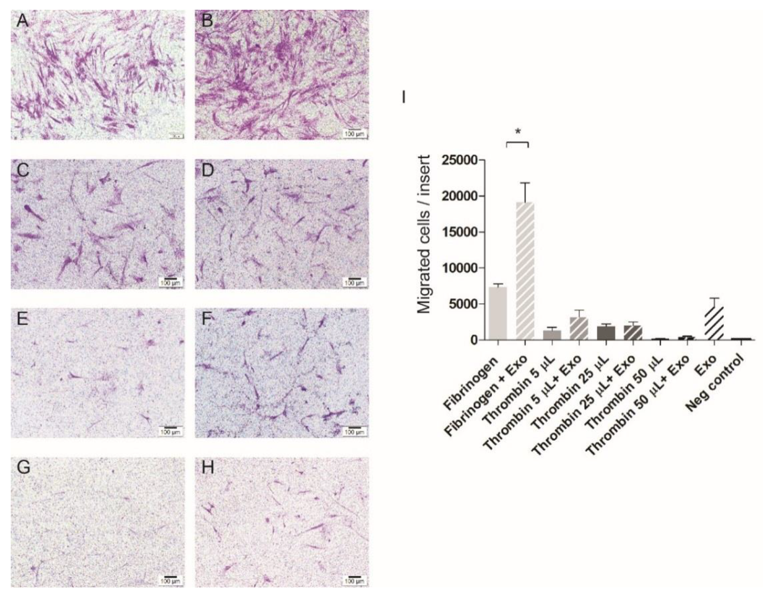 Jcm 09 00491 g005 Jcm 09 00491 g005