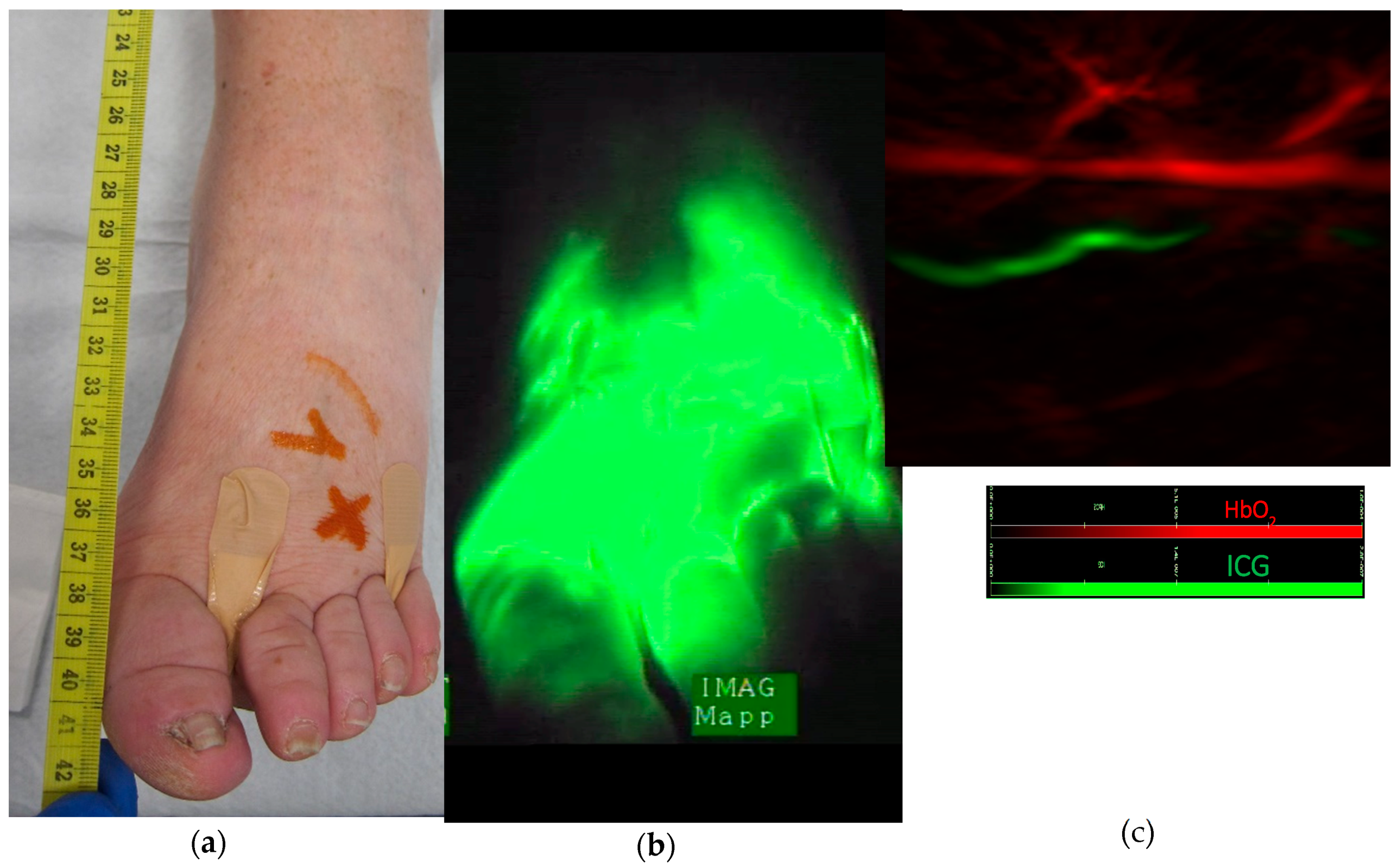 Jcm 09 00815 g004 Jcm 09 00815 g004