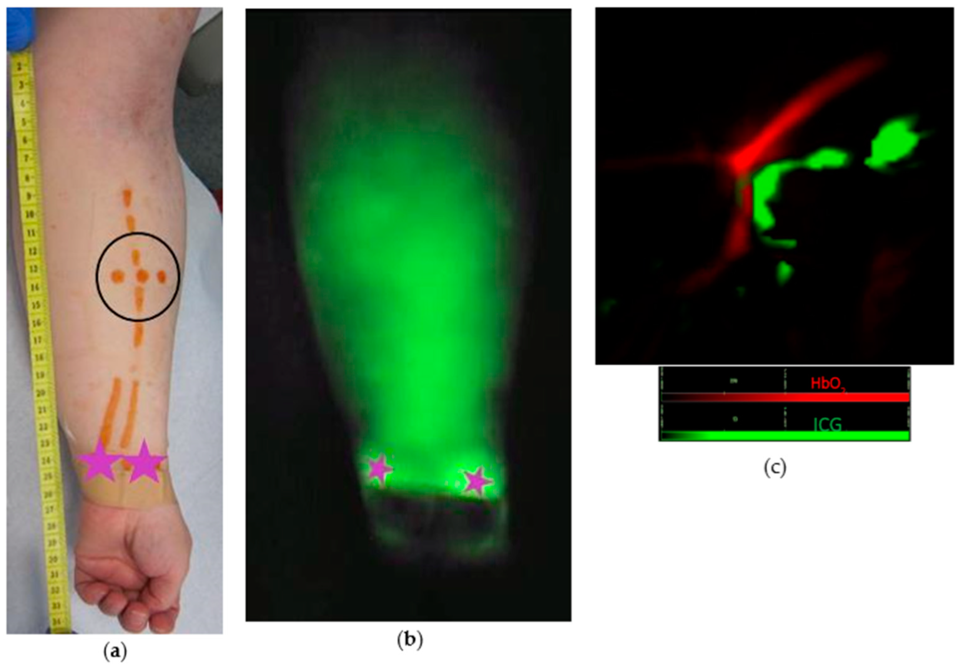 Jcm 09 00815 g005 Jcm 09 00815 g005
