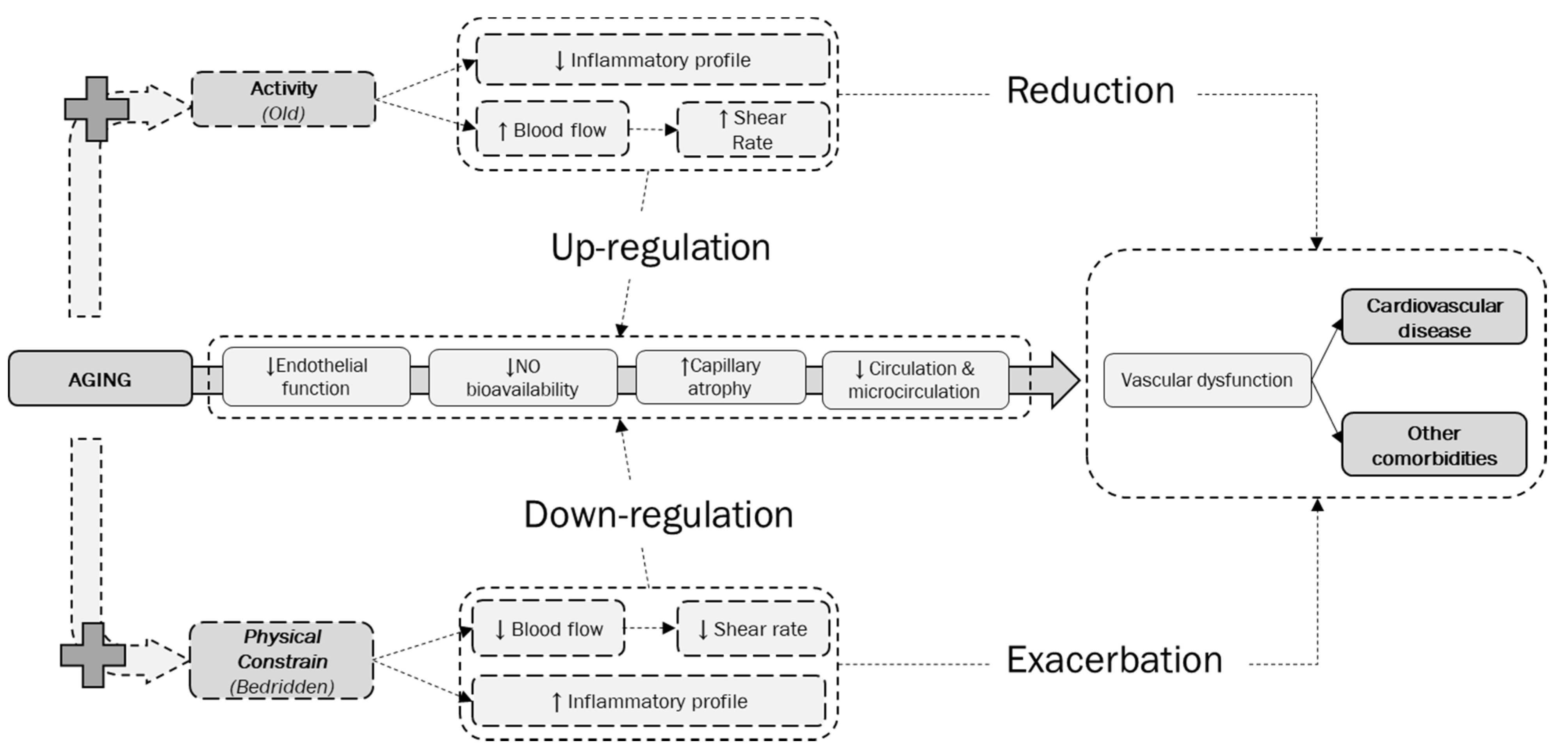 Jcm 09 00918 g003 Jcm 09 00918 g003