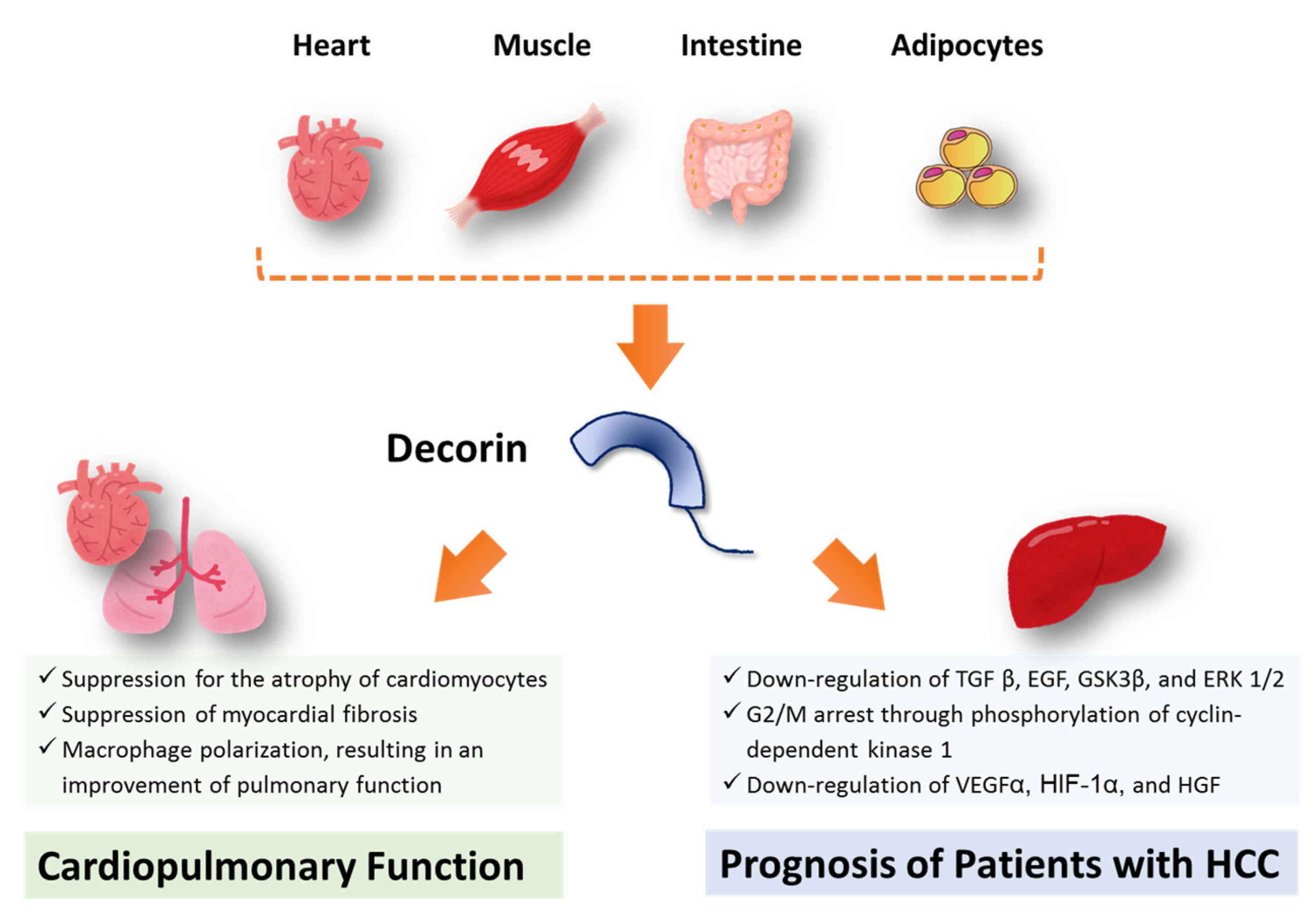 Jcm 09 00936 g003 Jcm 09 00936 g003