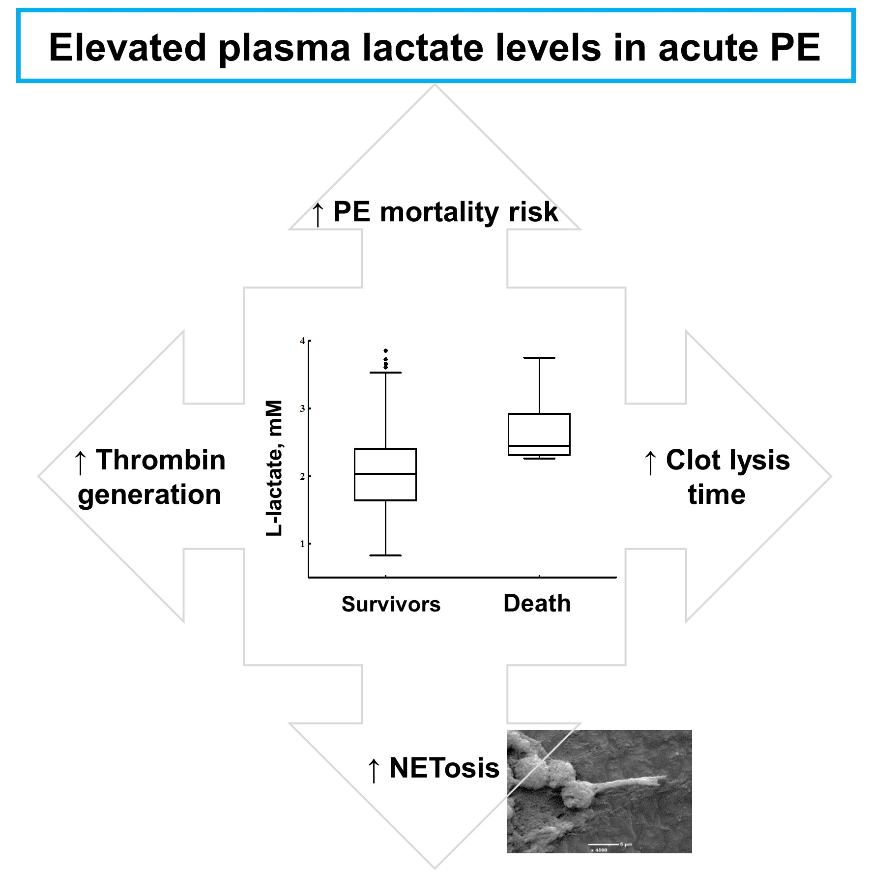 Jcm Free Full Text Elevated Lactate Levels In Acute Pulmonary Embolism Are Associated With