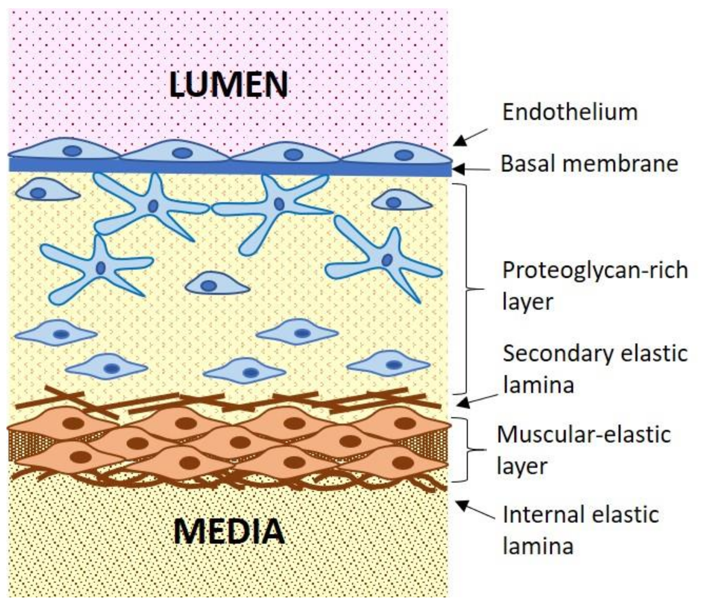 Jcm 09 00978 g002 Jcm 09 00978 g002