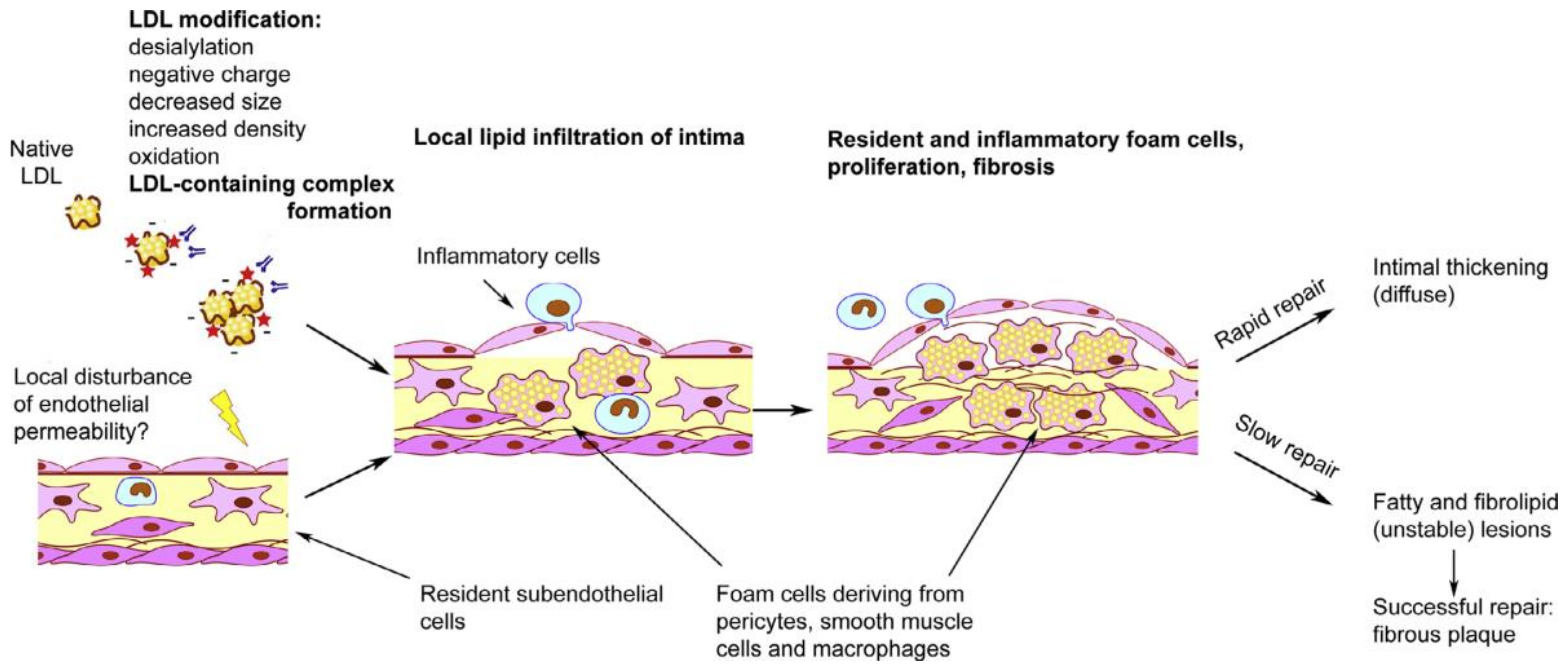 Jcm 09 00978 g006 Jcm 09 00978 g006