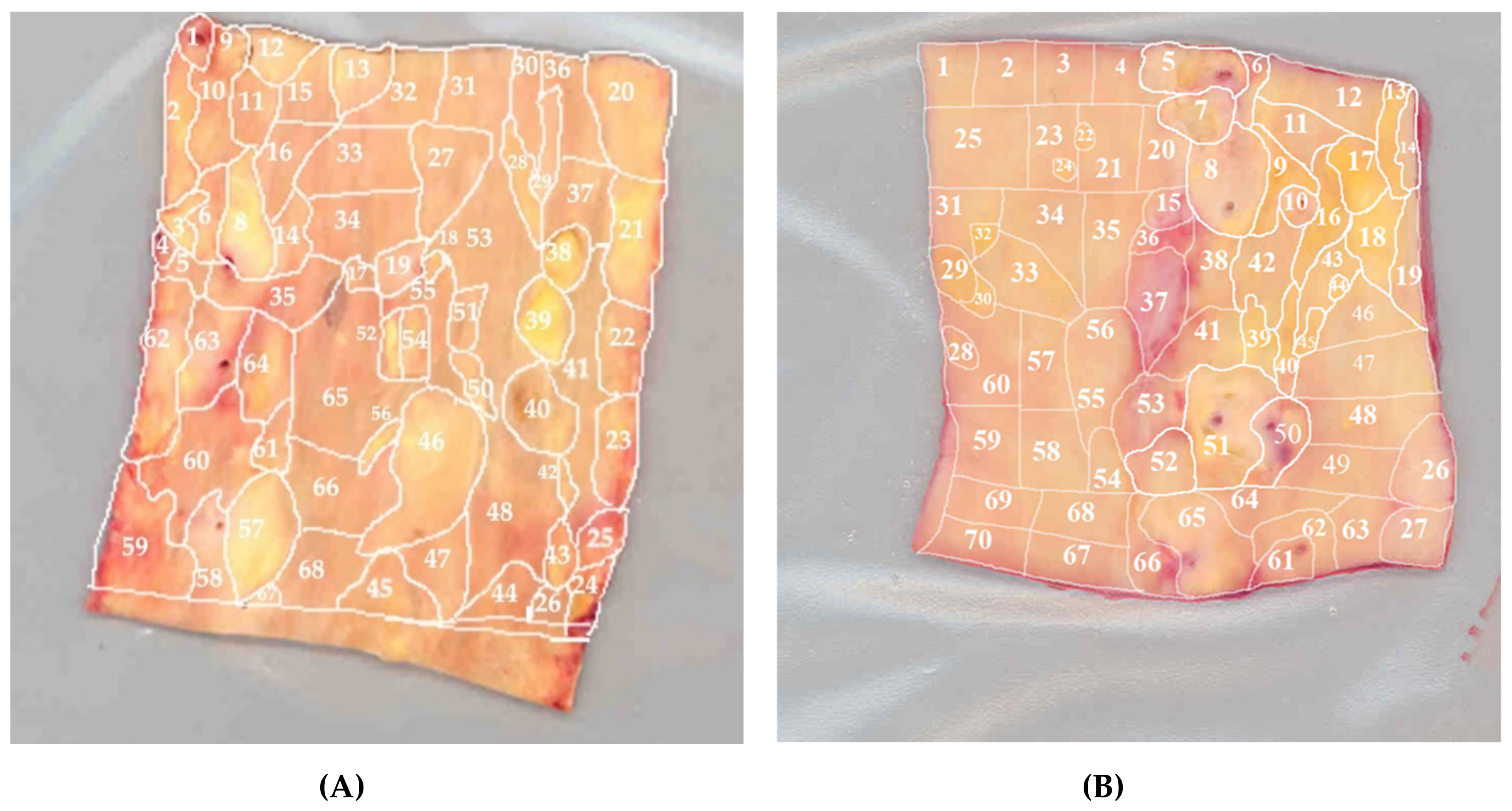 Jcm 09 00978 g007 Jcm 09 00978 g007