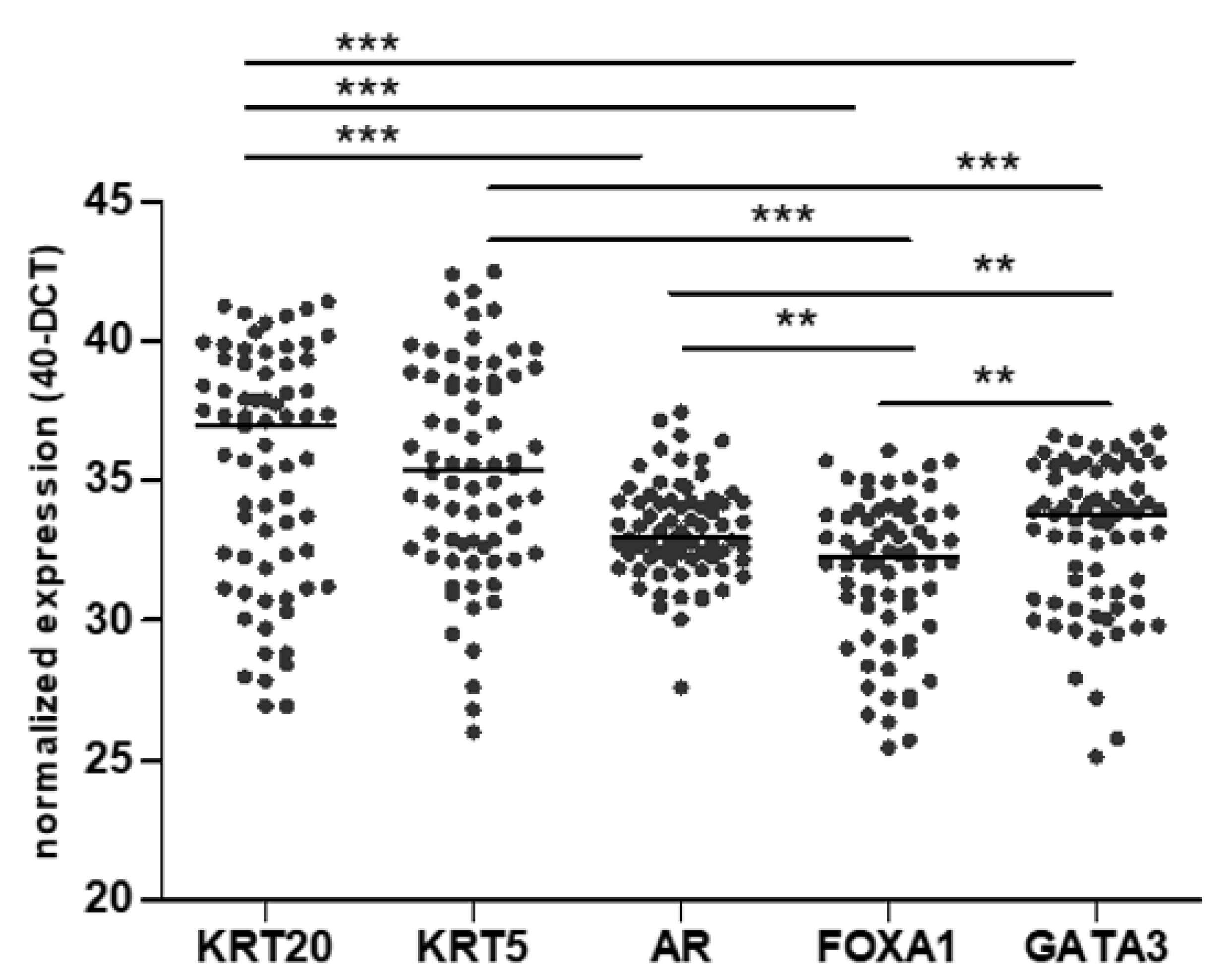 Jcm 09 00994 g001 Jcm 09 00994 g001