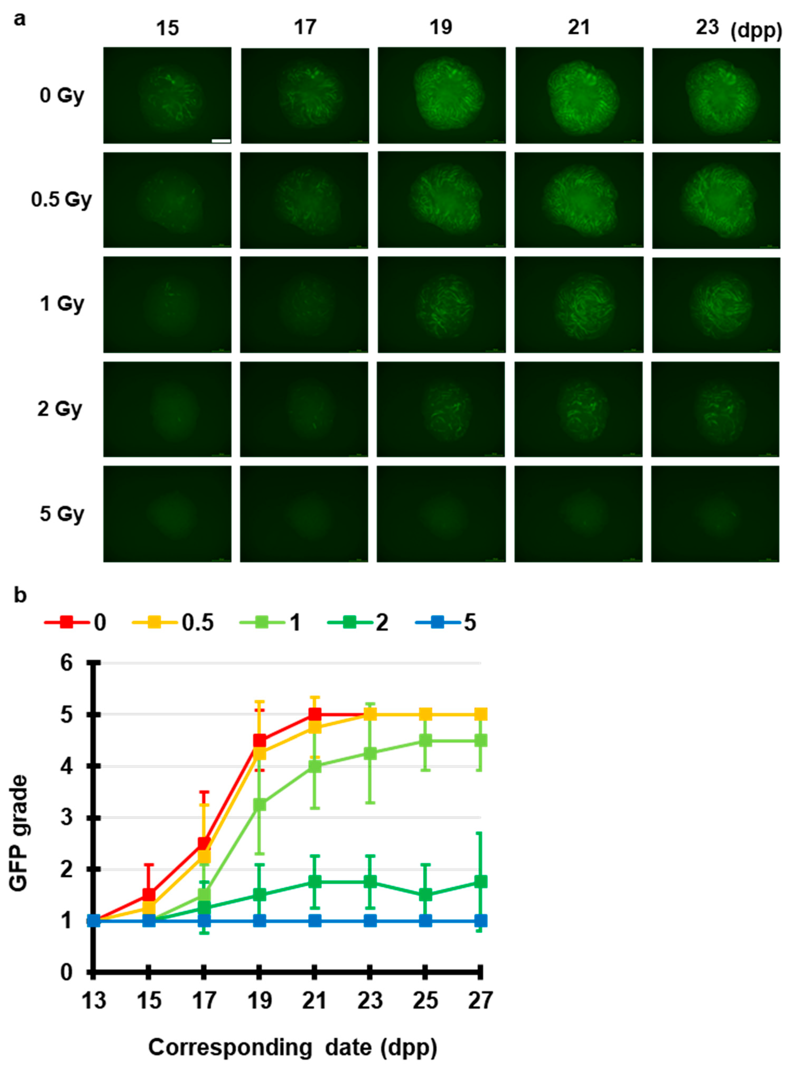 Jcm 09 01089 g002 Jcm 09 01089 g002