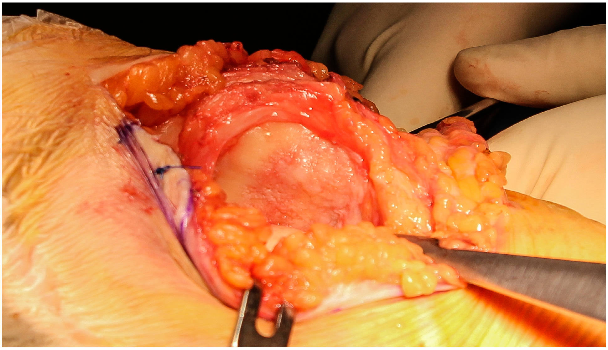 Jcm 09 01184 g001 Jcm 09 01184 g001